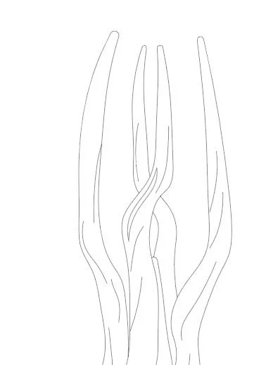 Loki's Staff (Loki Season 2 skin) from Marvel Rivals- Blueprint Download