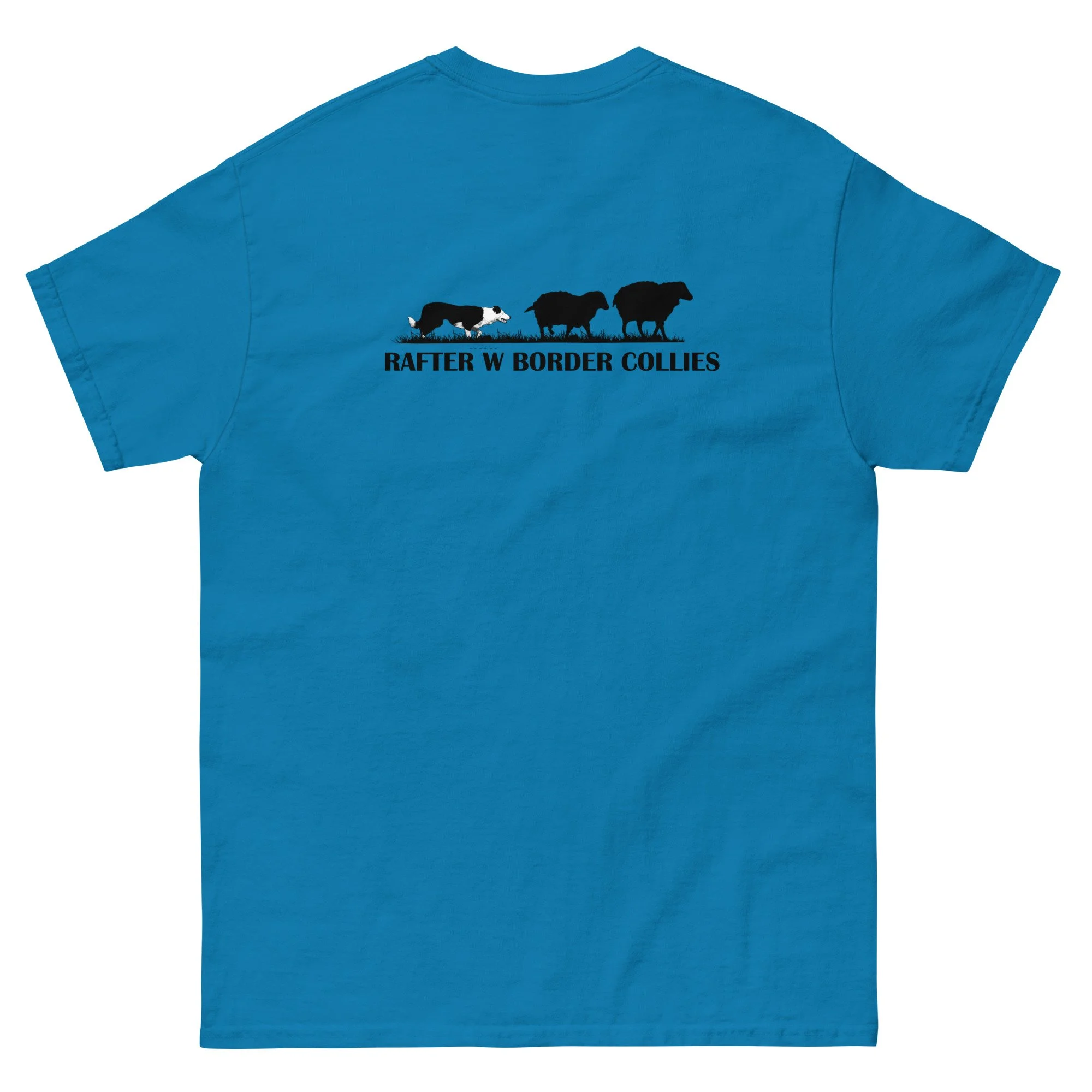 unisex-classic-tee-sapphire-back-6abd4ed87d08f.jpg