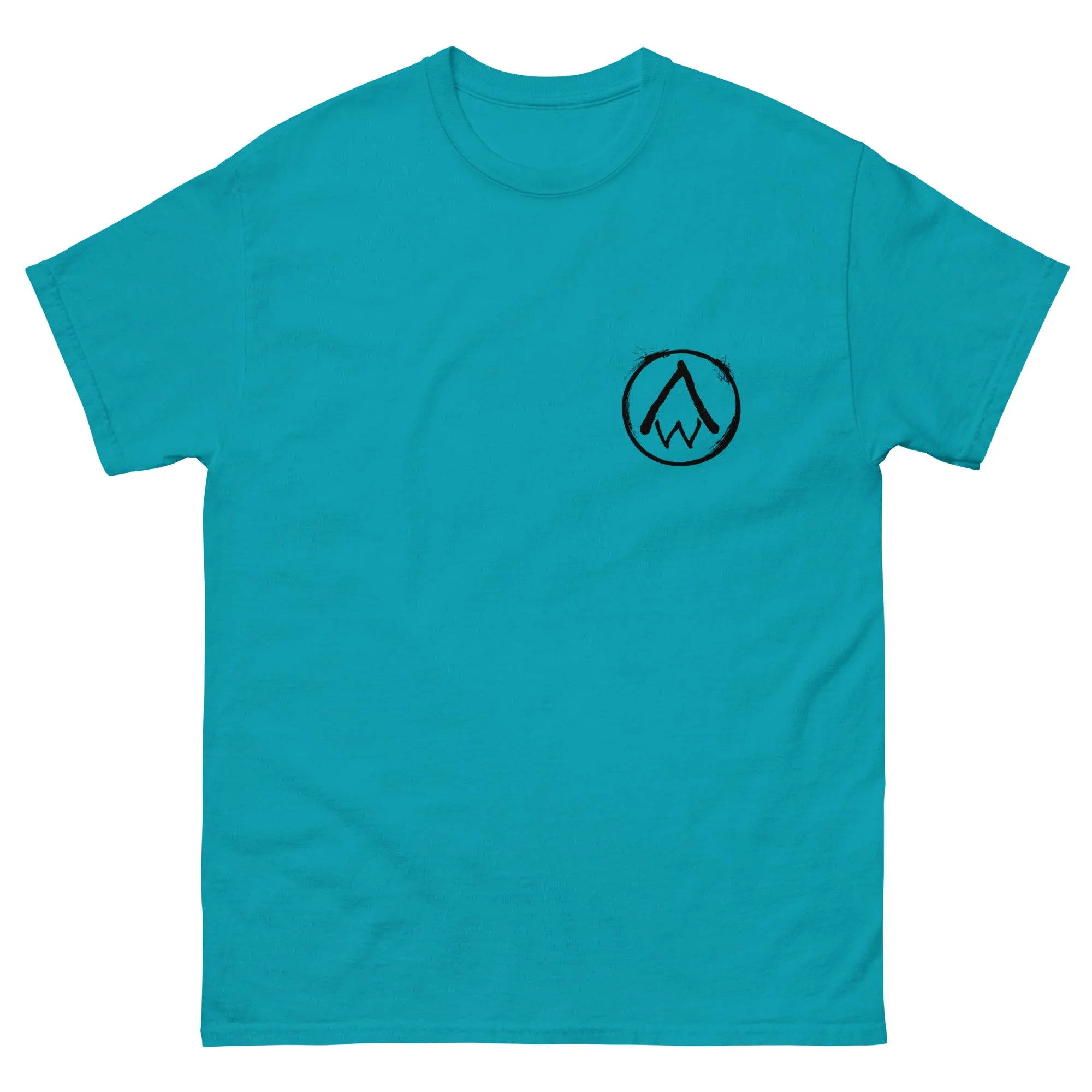 unisex-classic-tee-tropical-blue-front-6abd4ed8872a8.jpg