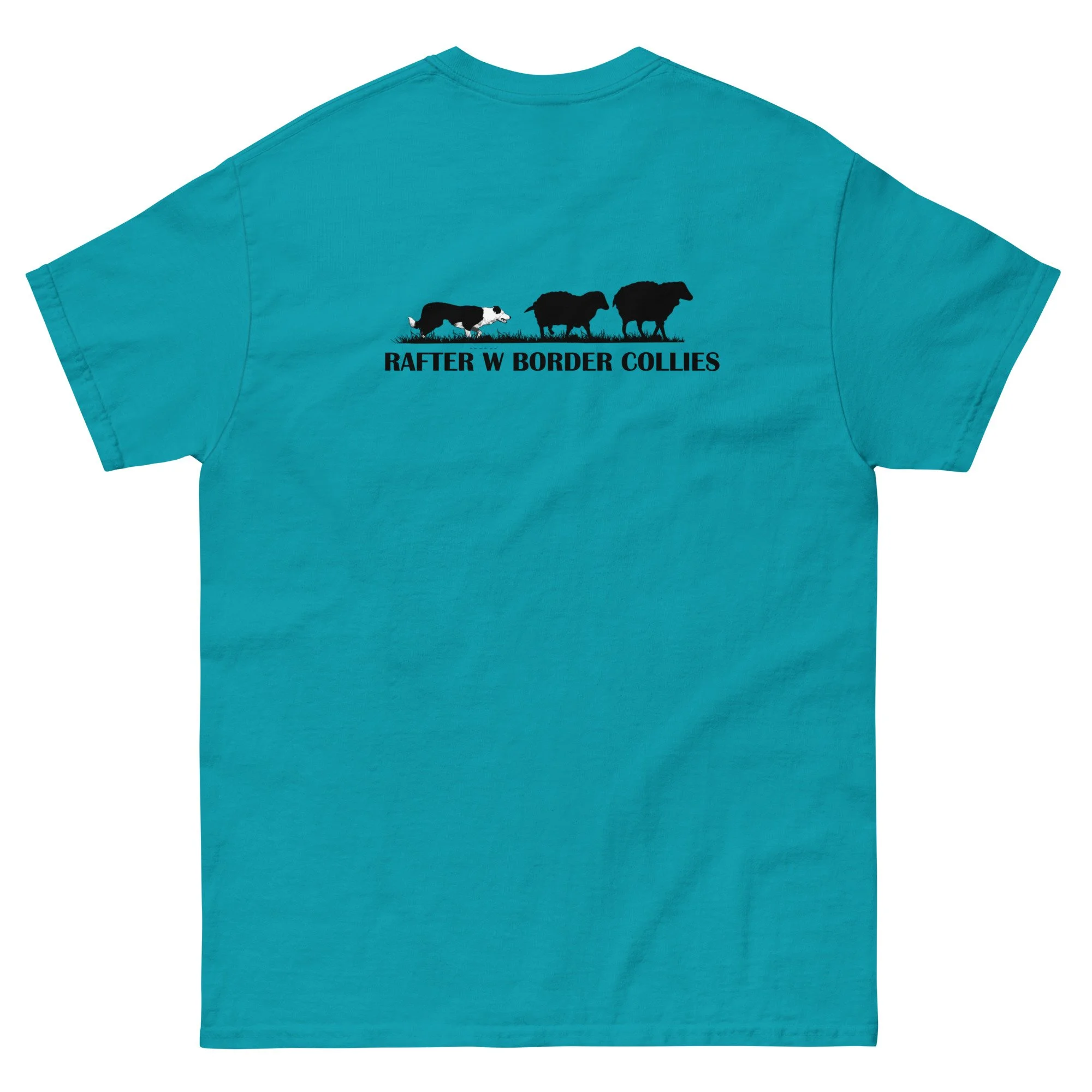 unisex-classic-tee-tropical-blue-back-6abd4ed8892e6.jpg