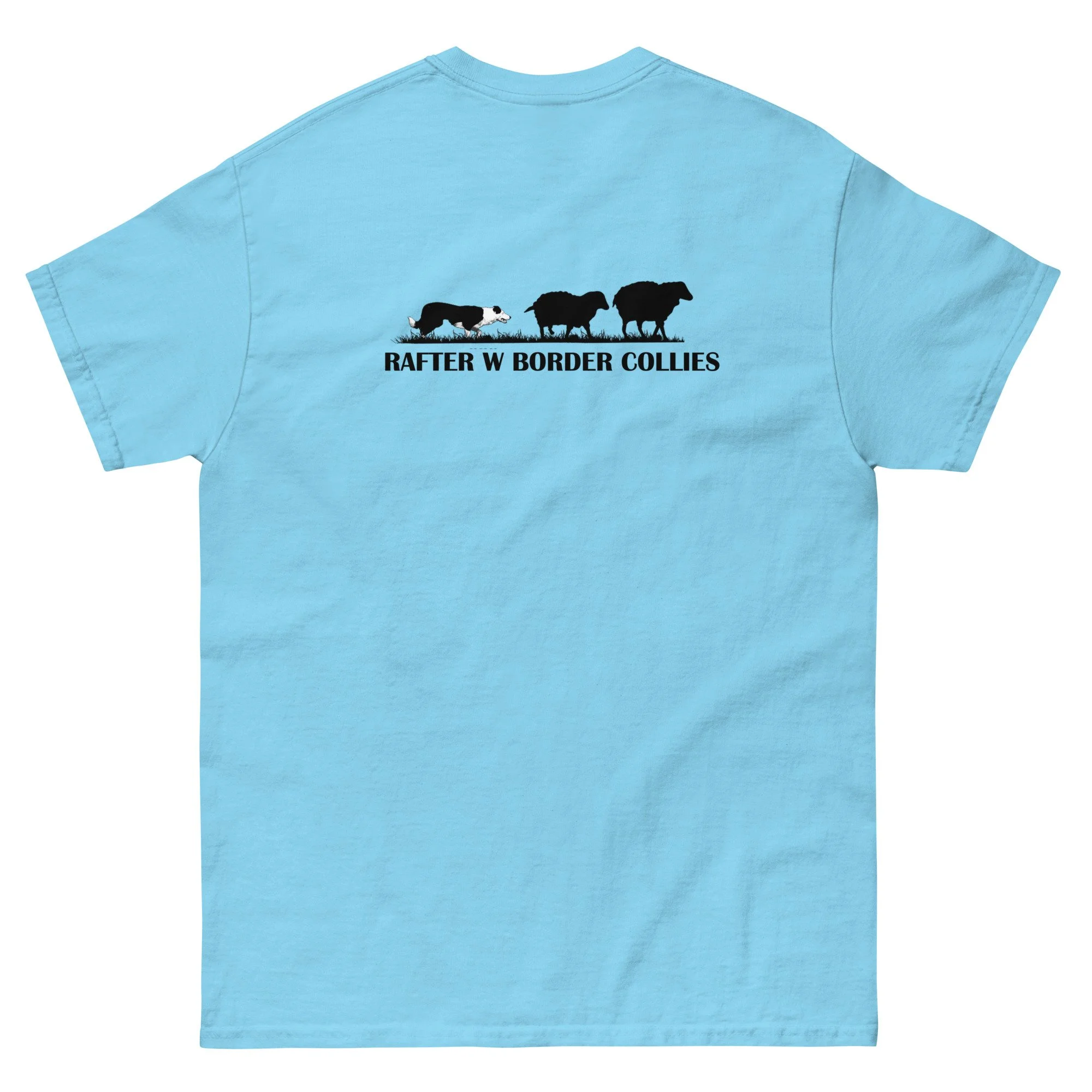 unisex-classic-tee-sky-back-6abd4ed89f654.jpg