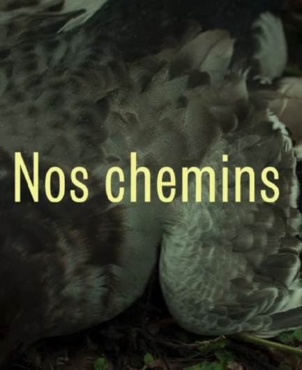 Nos Chemins.png