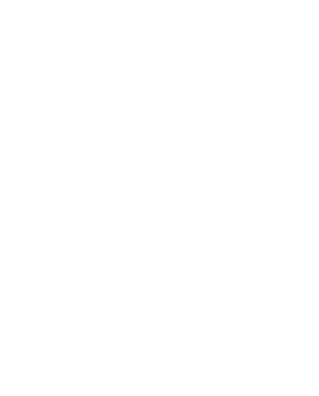 SOULTRIBECAMP LOGO V1.5 white on transparent.png