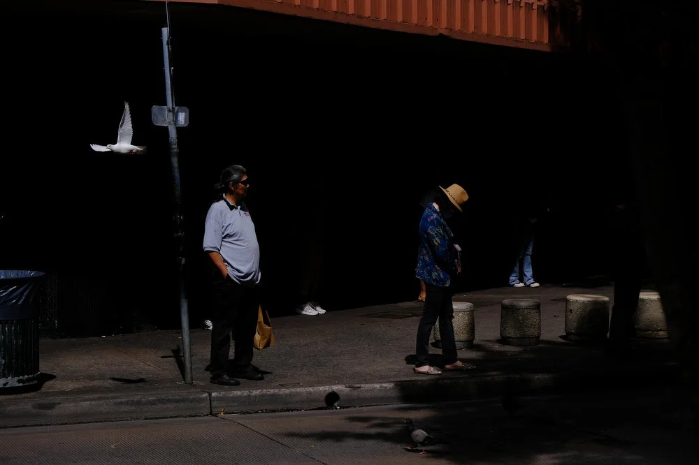 DSCF1814.JPG