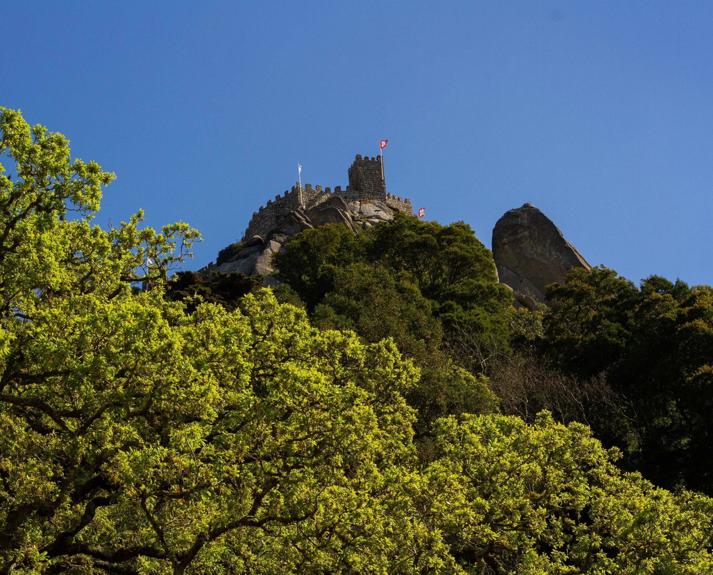 Portugal Castle Crop 1.5mb.jpg