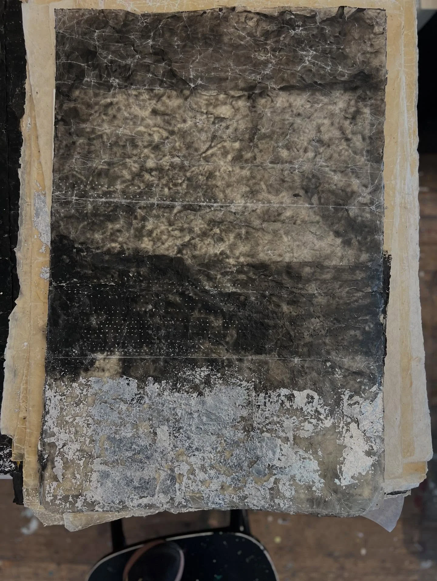 Happy this one has a home with Penny!