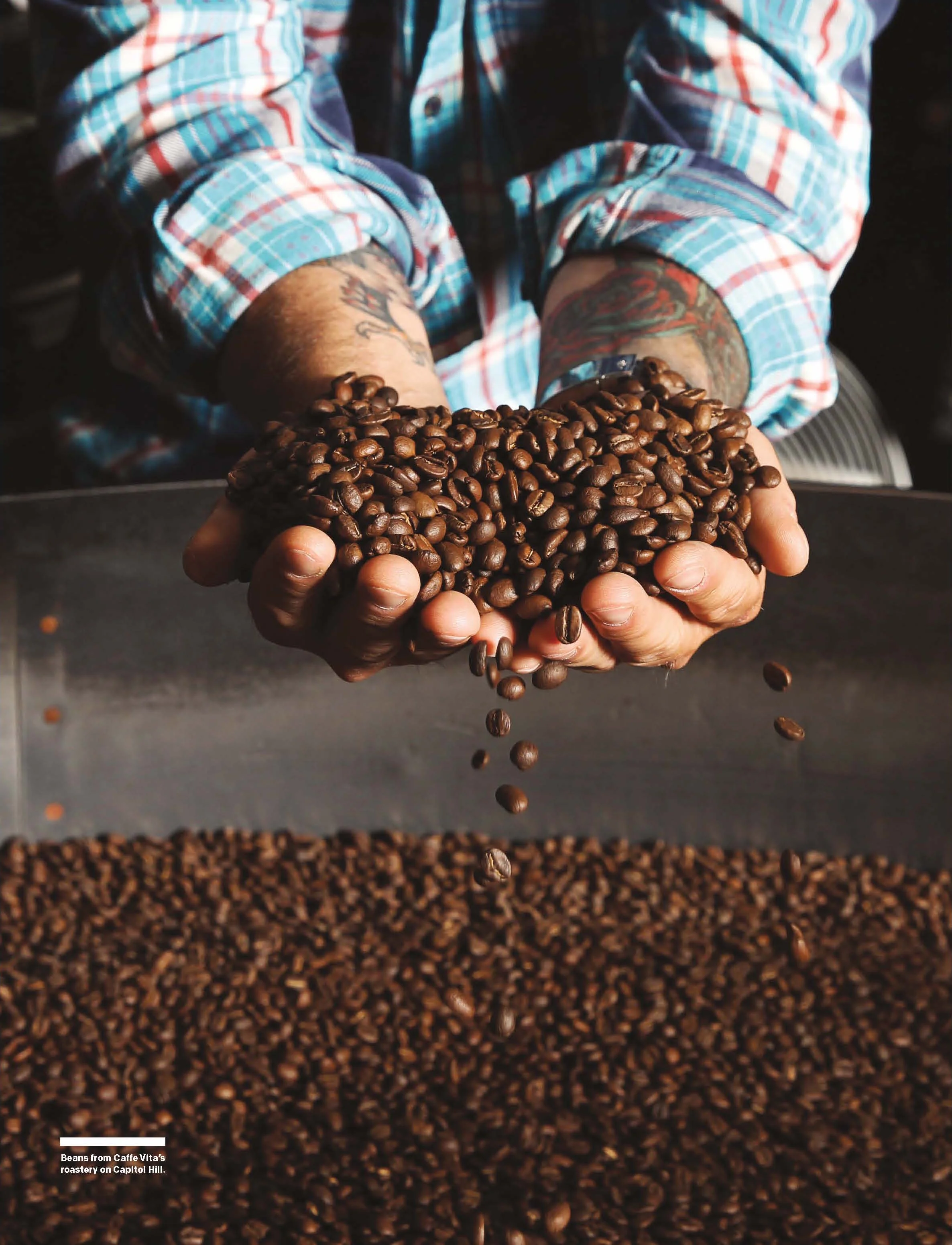 Coffee: The New Guide to a Seattle Obsession