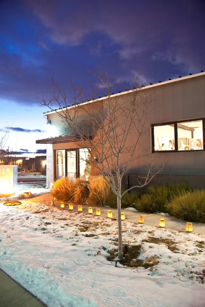 Salon in Snow 2 copy.jpg