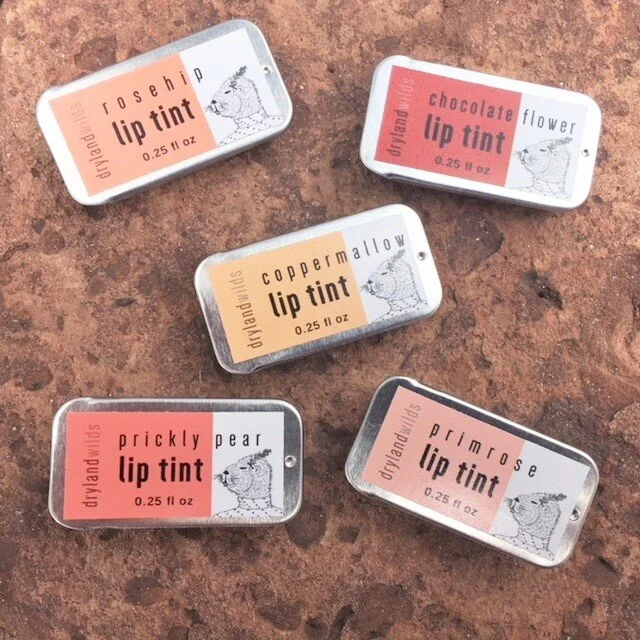 Dryland Wilds Lip Tint