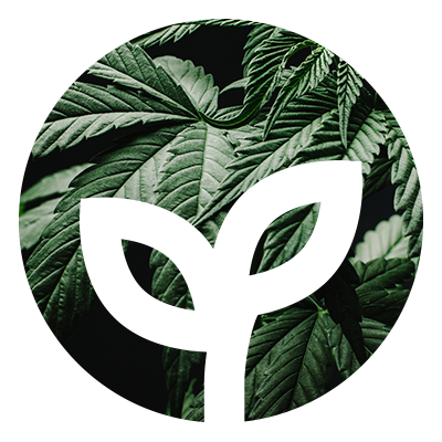leaf.png