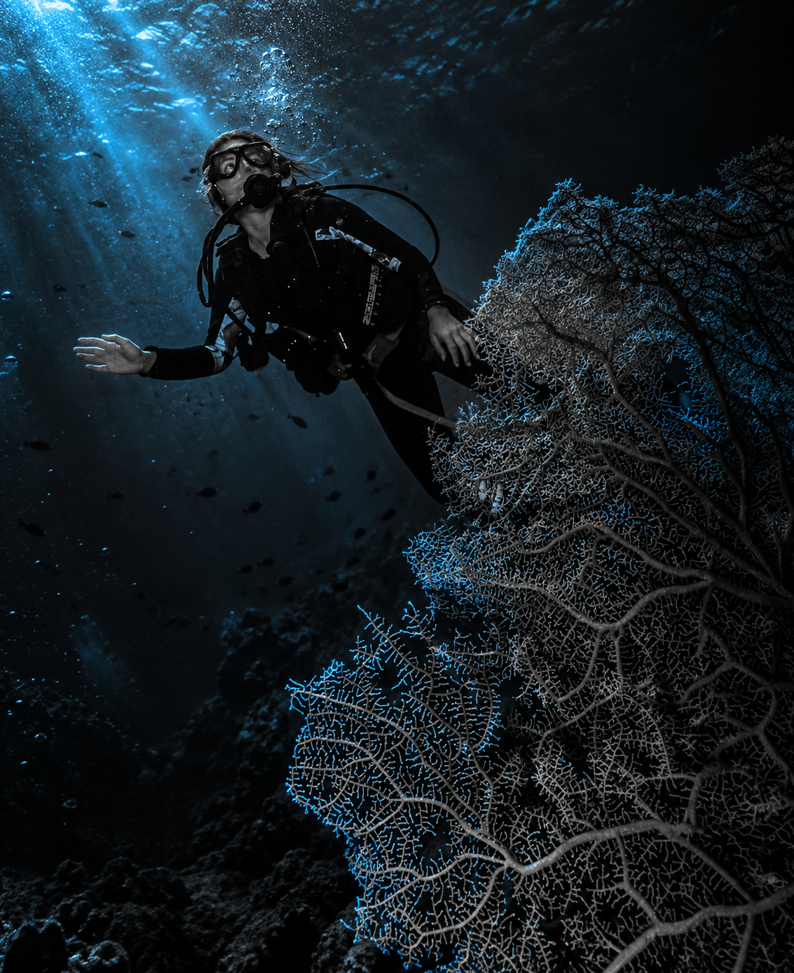 638B553A-95A8-4819-BF85-722D462EF872.PNG