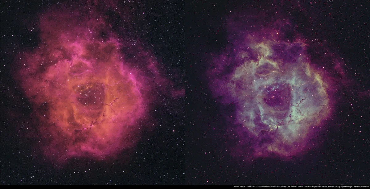 rosette-karsten-t20-sml.jpg