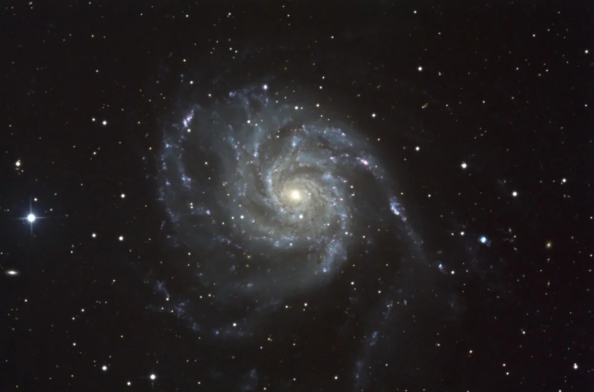 m101final.jpg