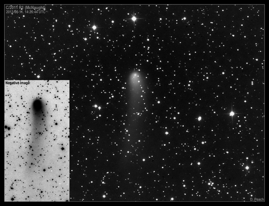 c2011_r1_mcnaught_2013dpeach+t30.jpg