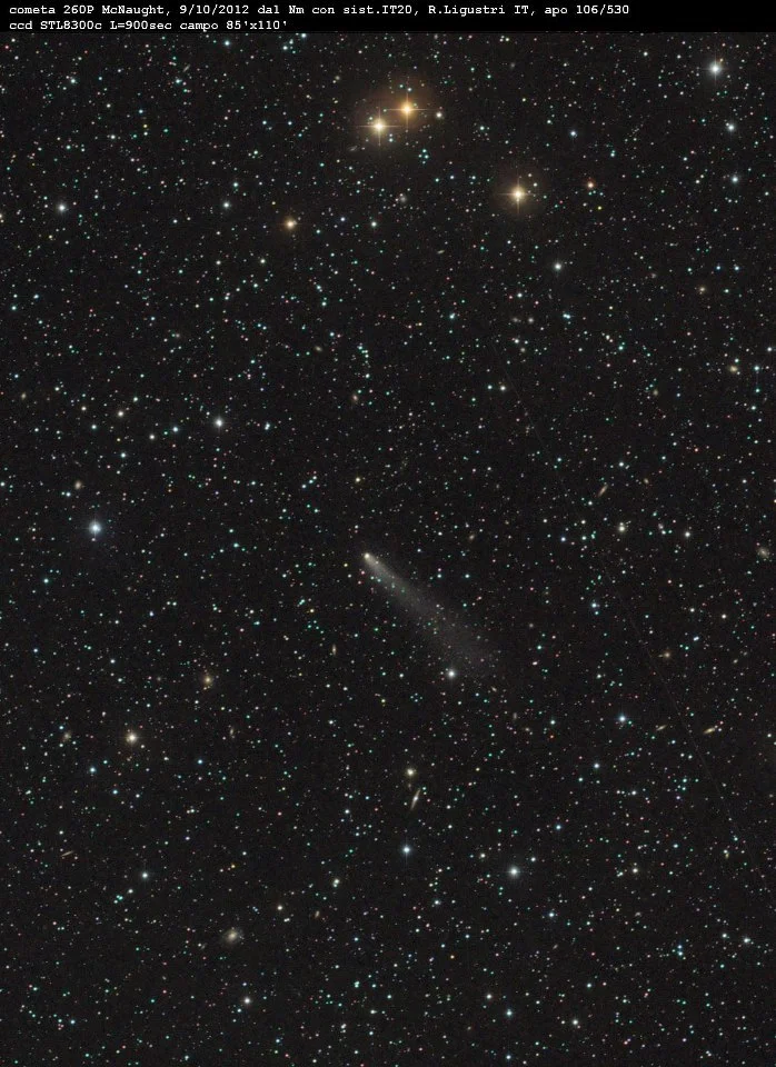 0260p+mcnaught+rolando.jpg