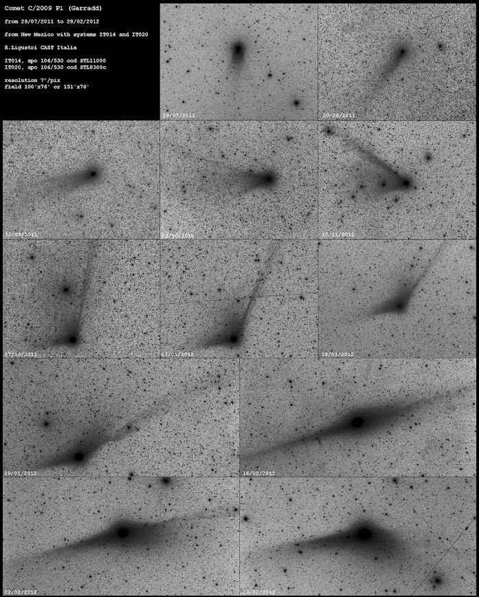 comet+garradds+many+faces+-+rolando+ligustri+-+t14.jpg