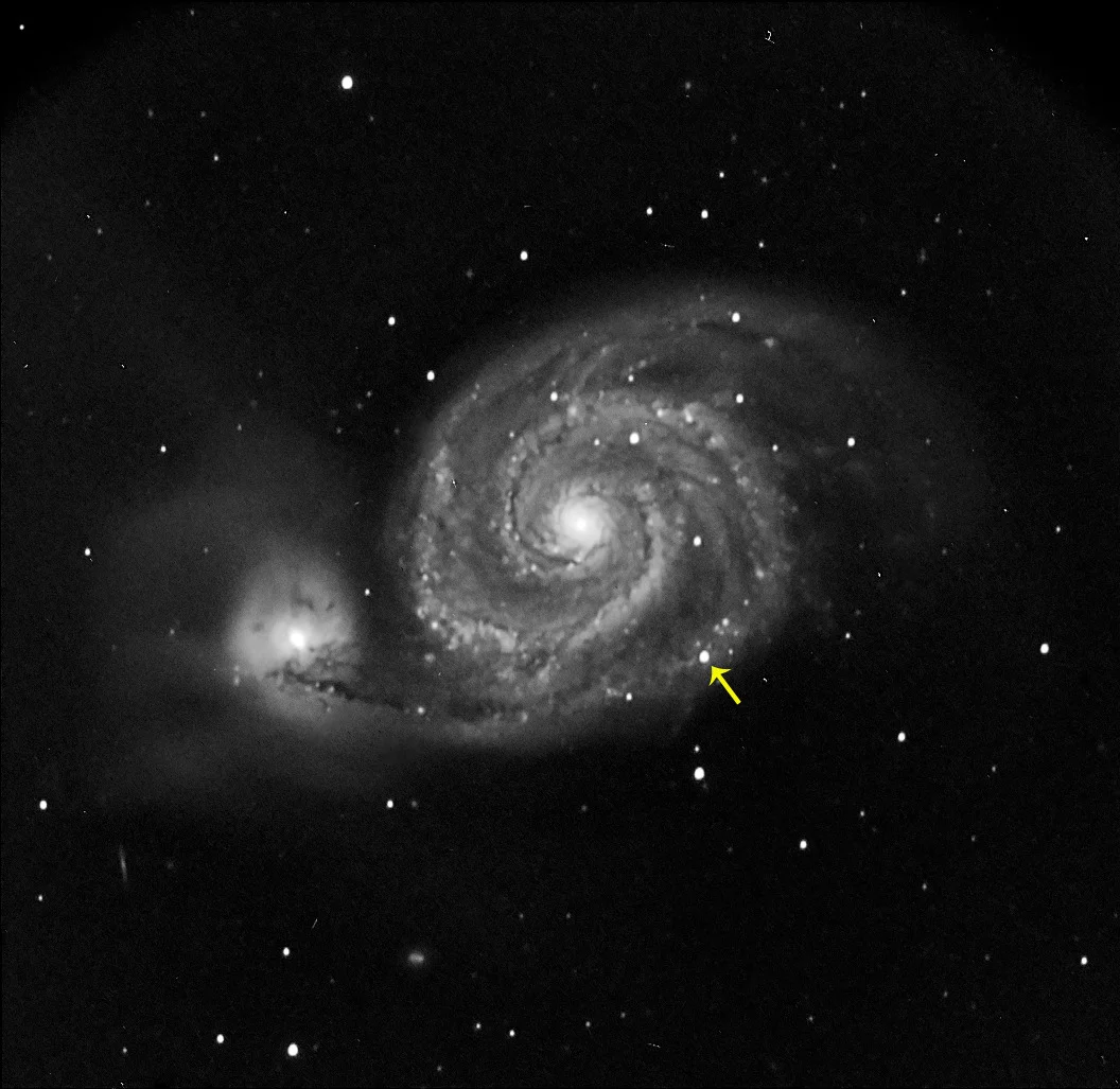 m51-vishy-alina.jpg