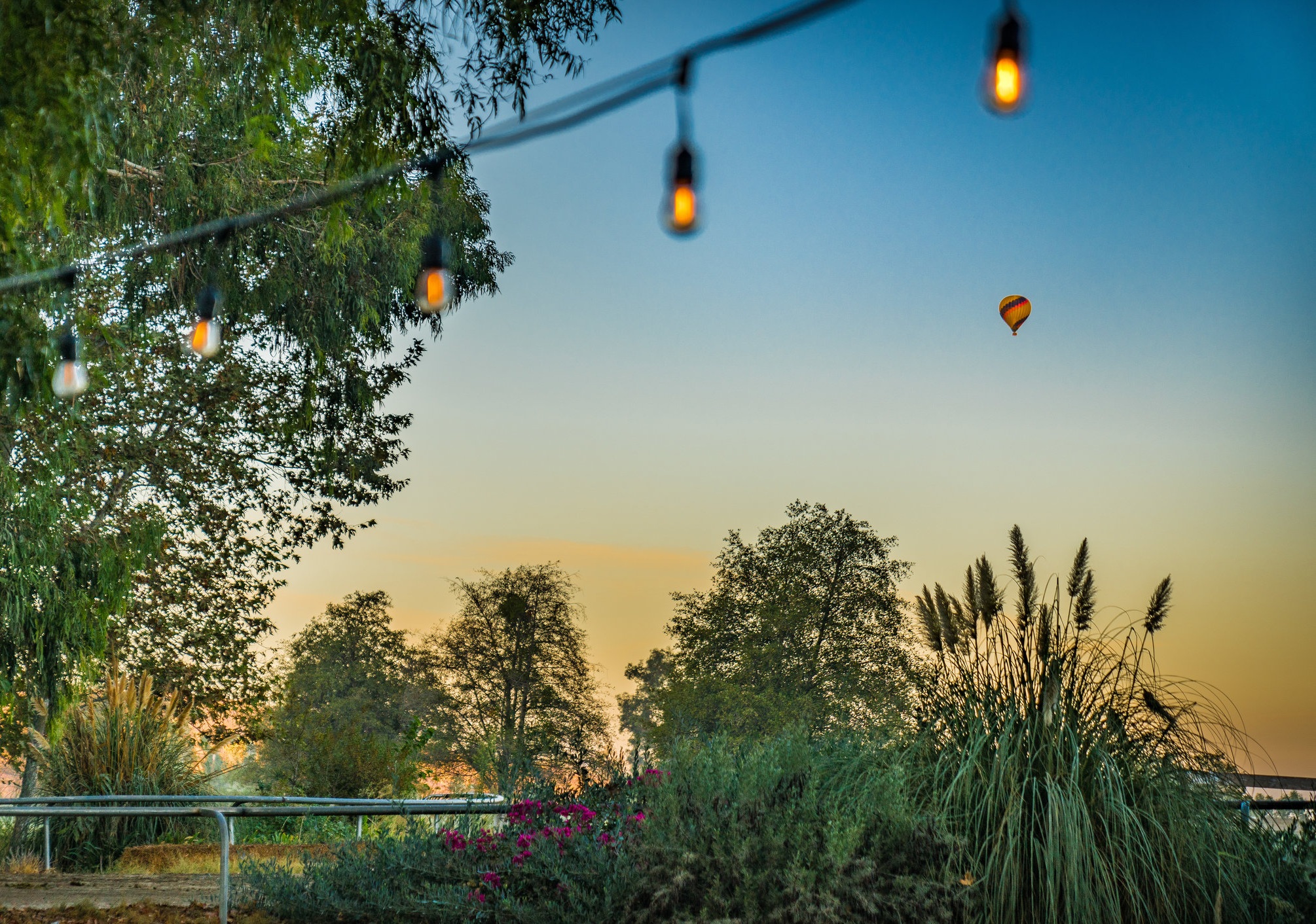 Discover the magic of the Temecula Valley