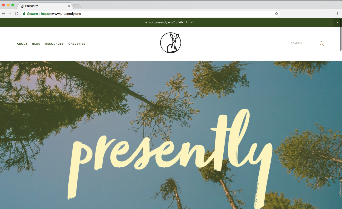 Presently-screenshot.png