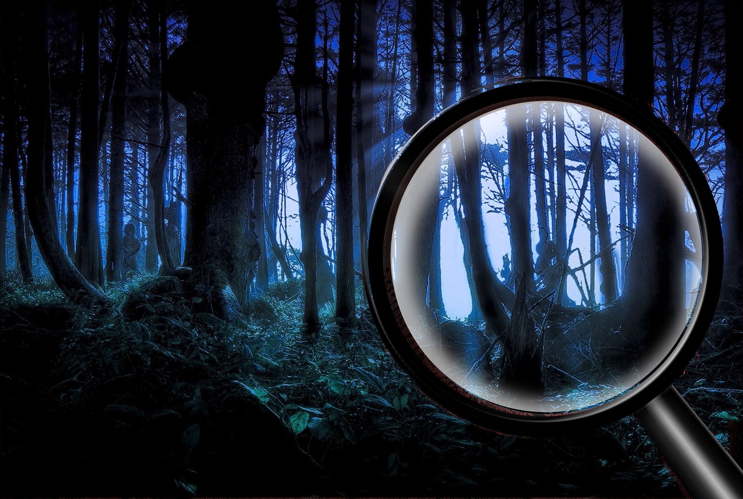 Mystery-section-image.jpg