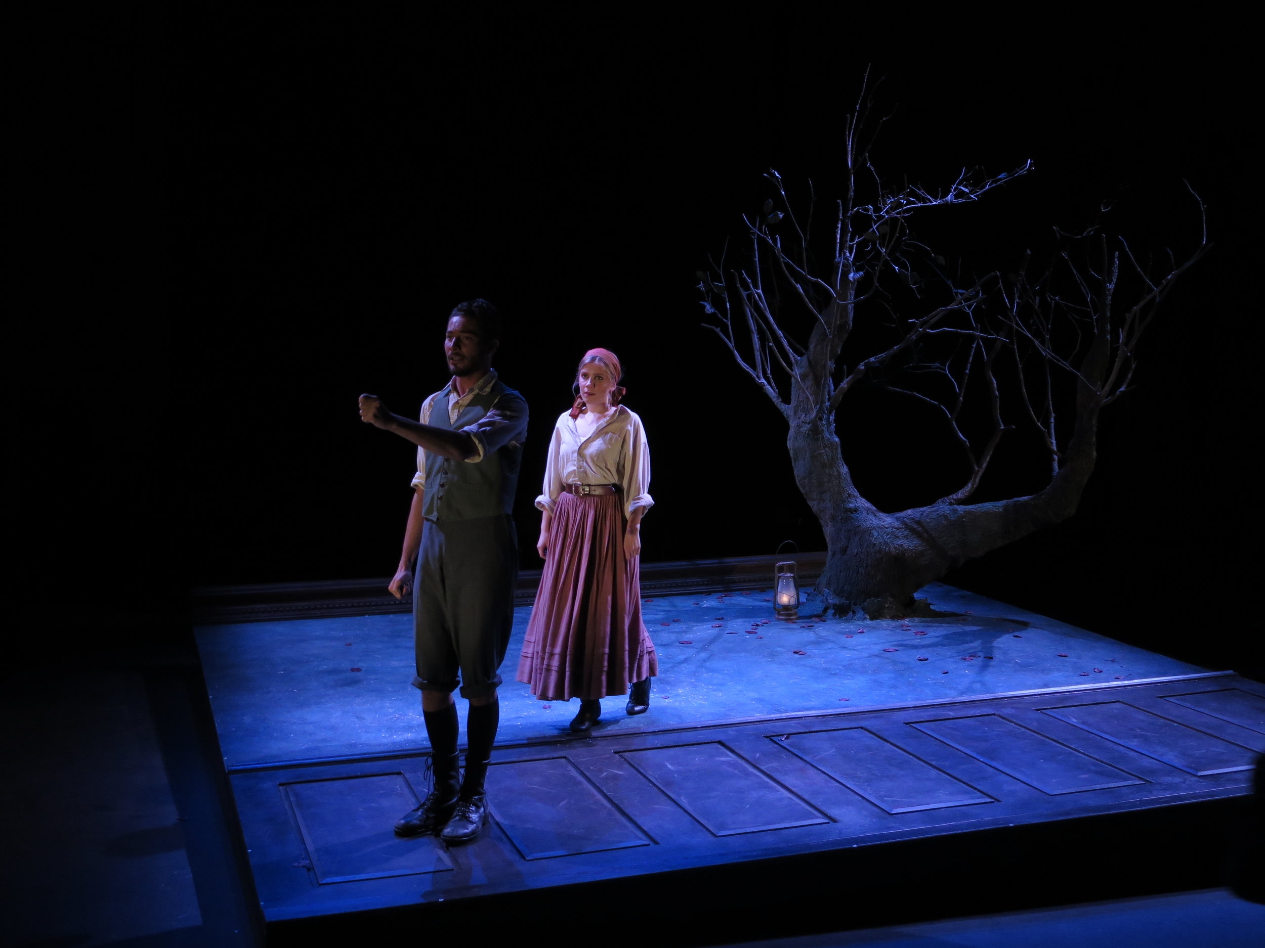 SPRING AWAKENING