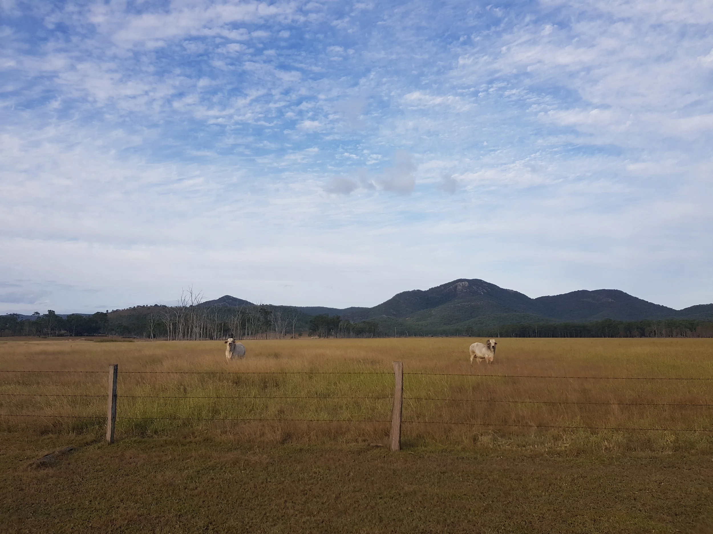 20180516_160752.jpg