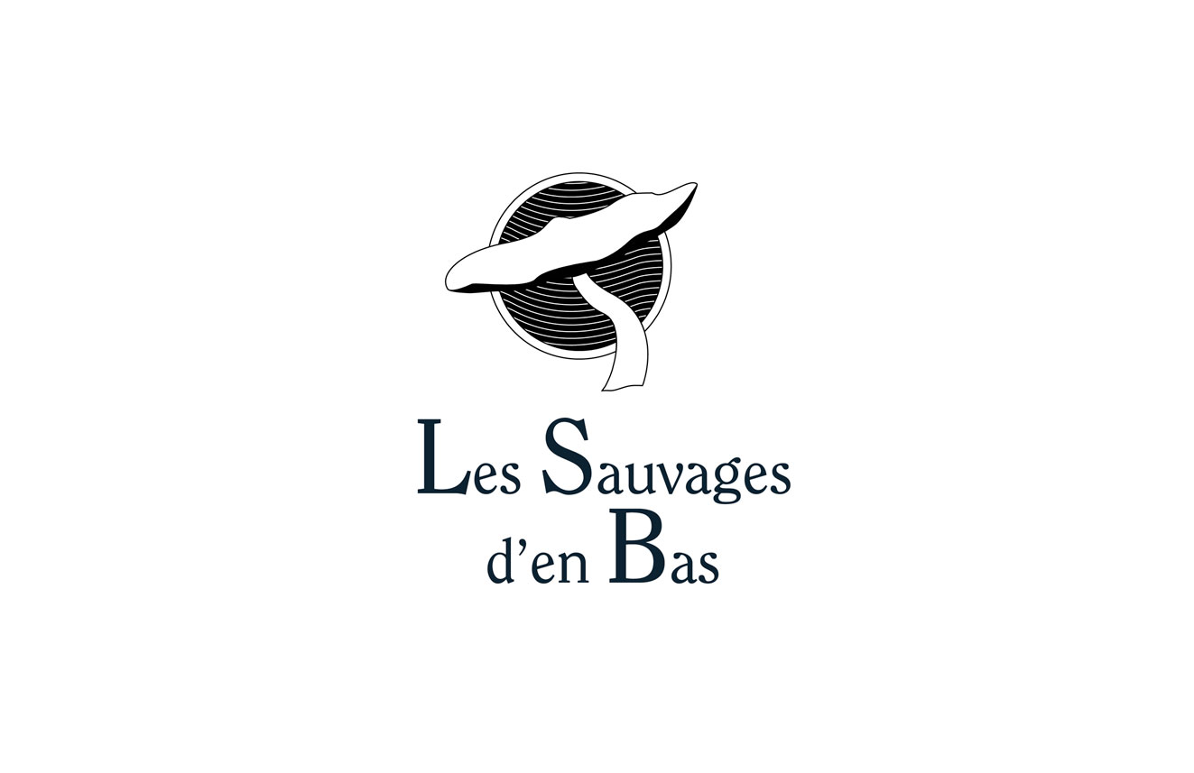 sauvages-d-en-bas-42.jpg