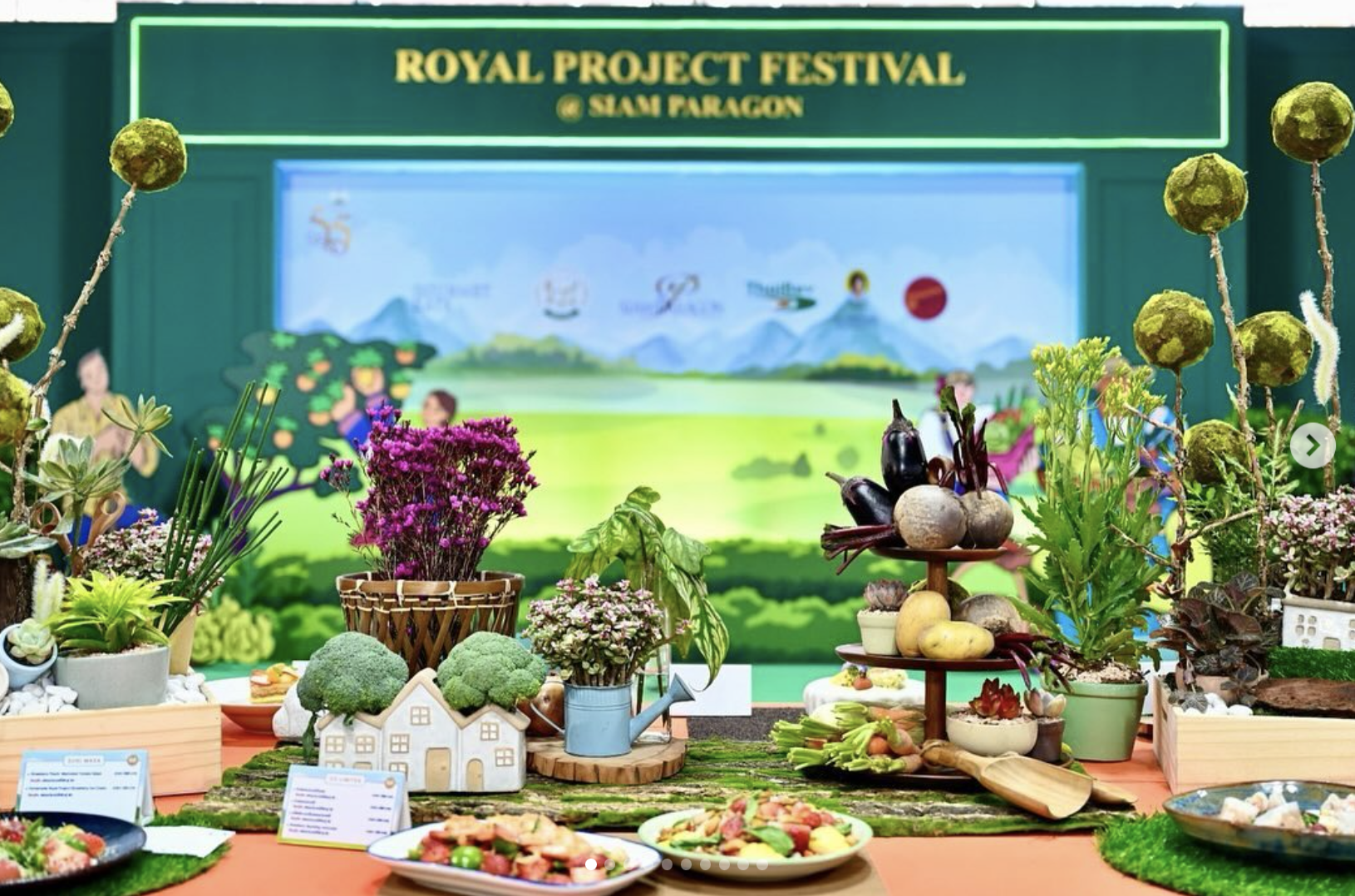 Screen Shot 2024-01-18 at 13.00.54.png