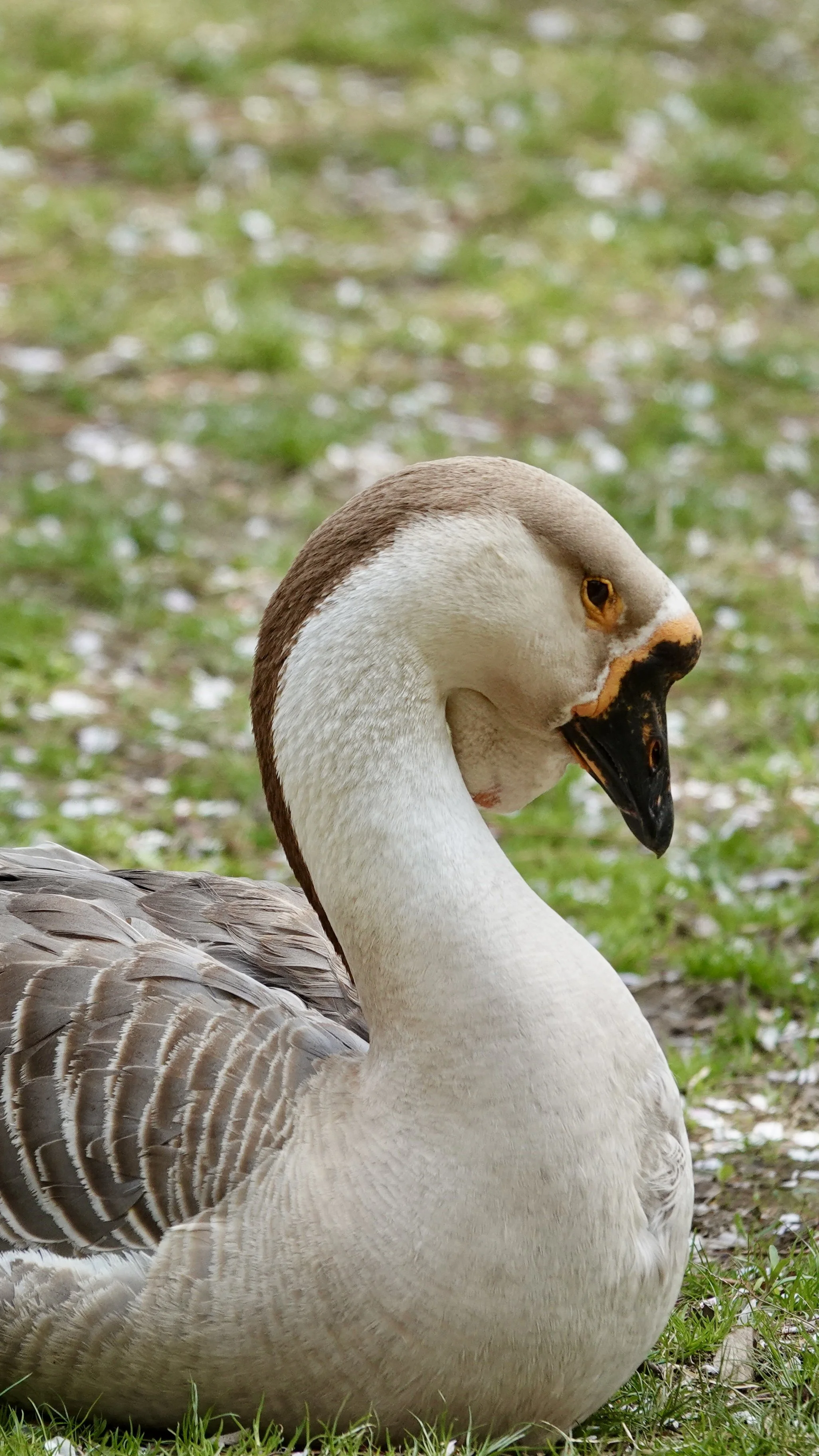 DSC01573.jpg
