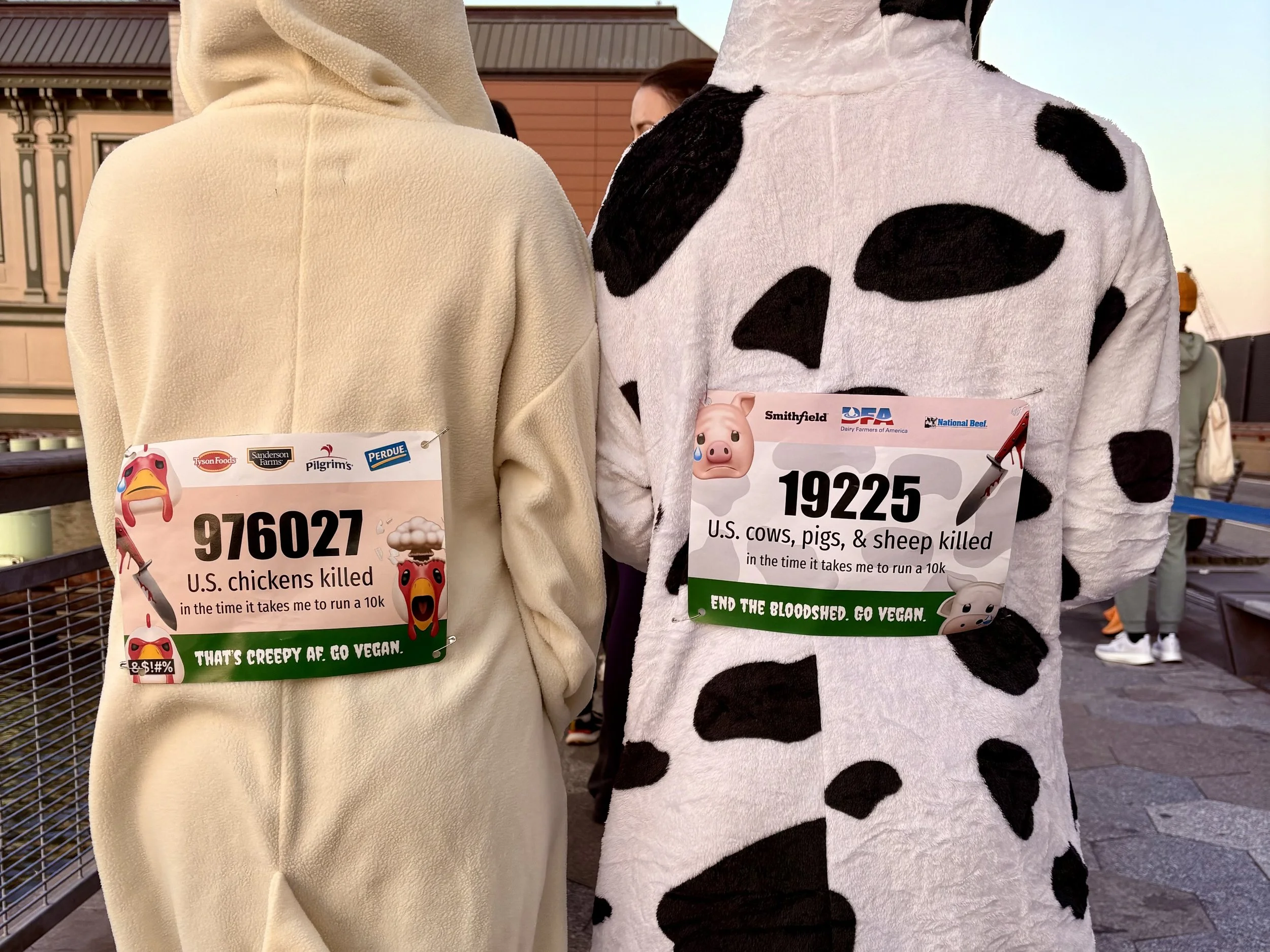 race bibs.jpg