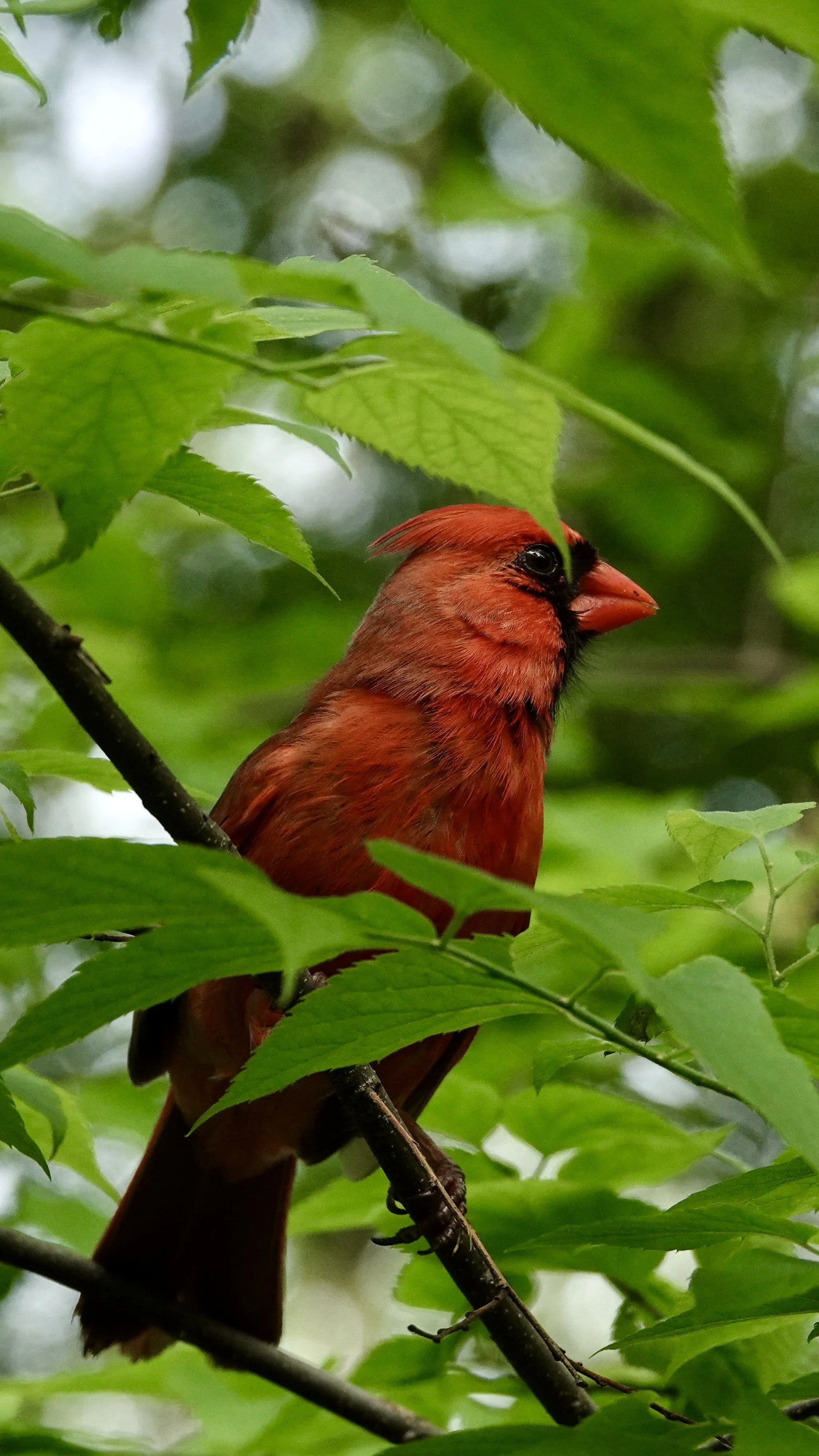 DSC02712.jpg