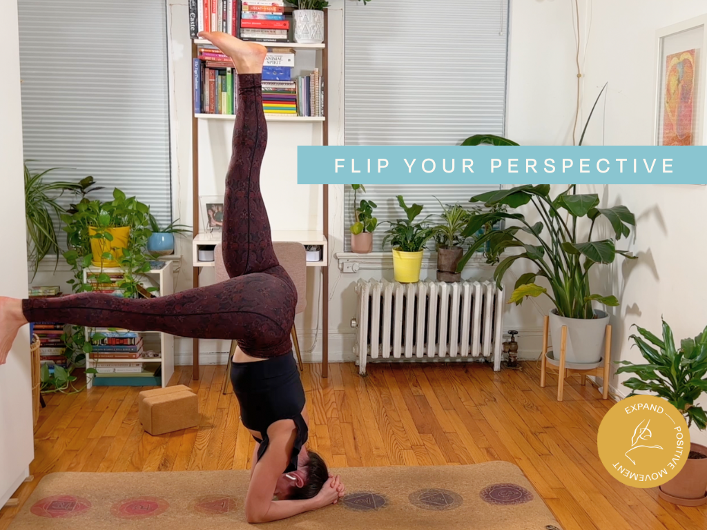 Flip Your Perspective - 50min 