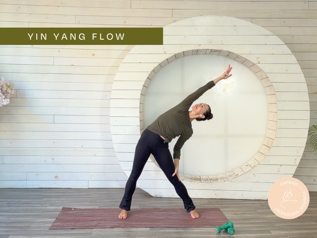 Yin Yang Flow - 20min