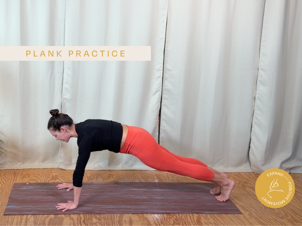 Plank Practice - 20min