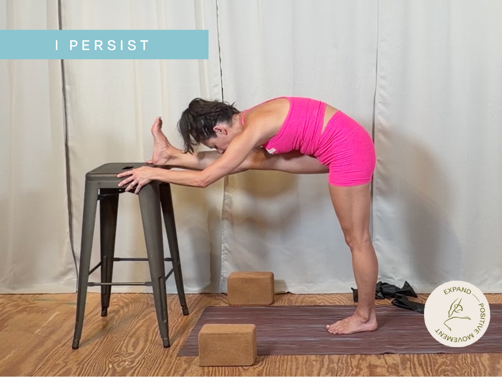 I Persist - 25min