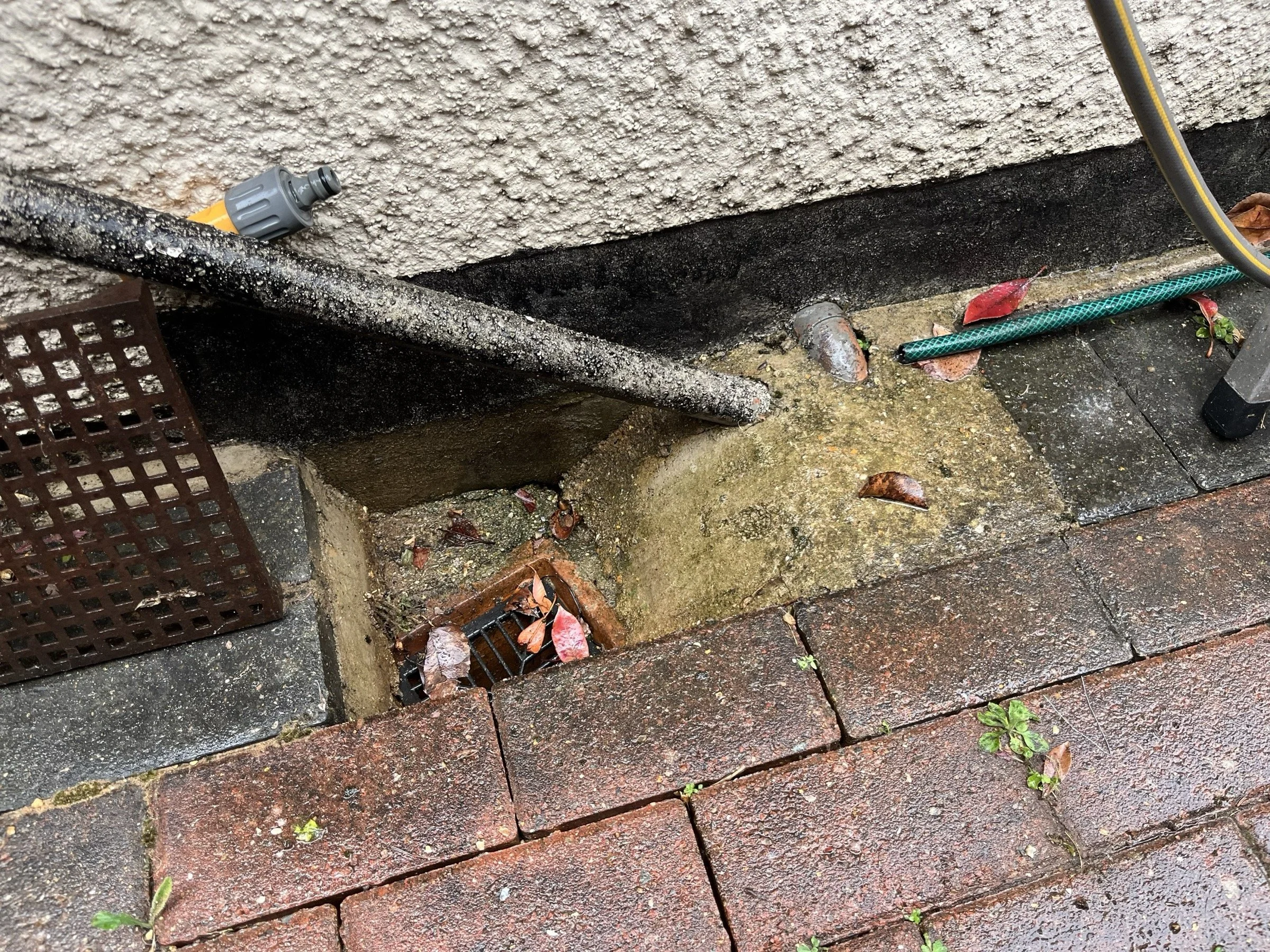 Photo Jun 03 2025, 11 04 10.jpg