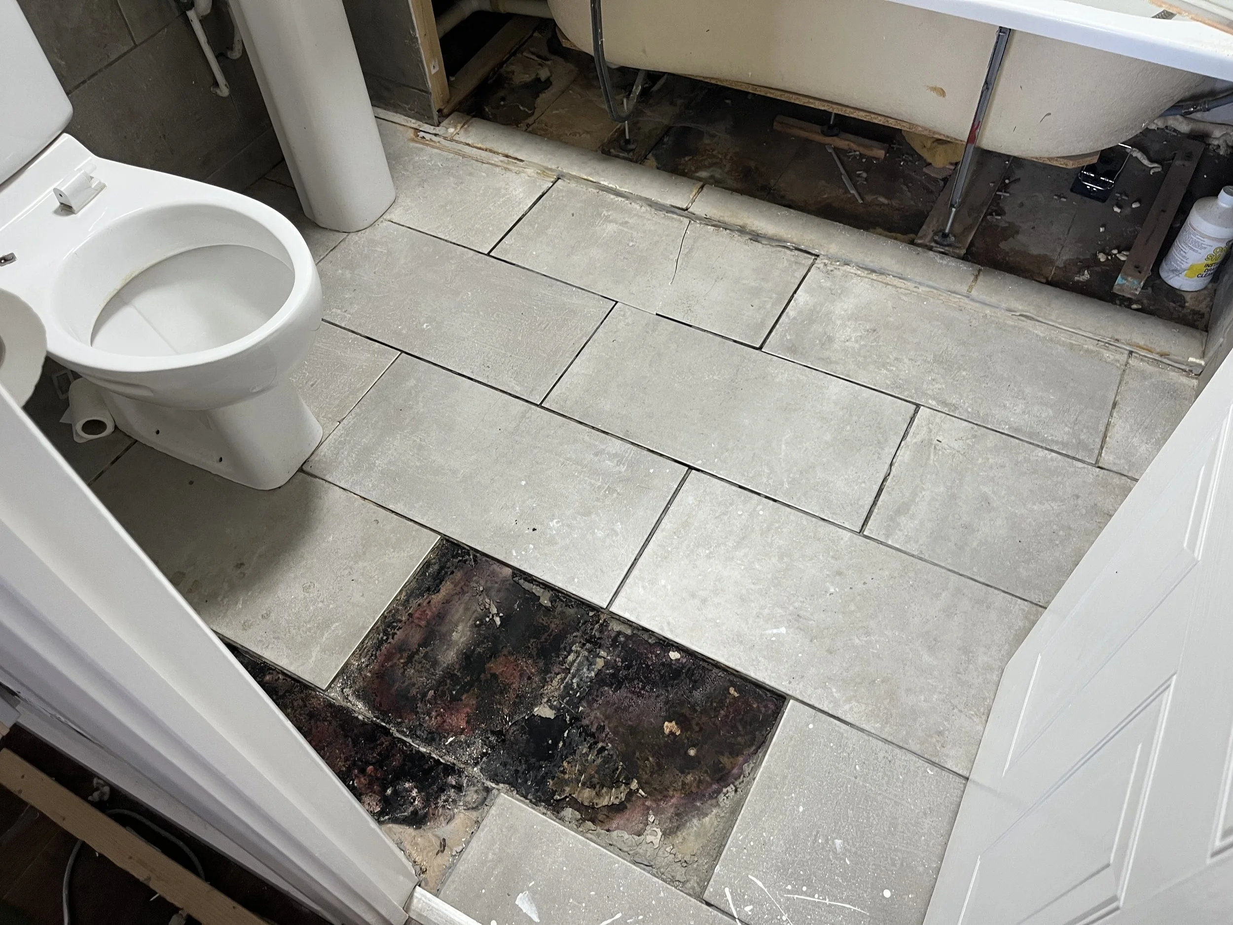 Photo Feb 16 2026, 10 28 21.jpg