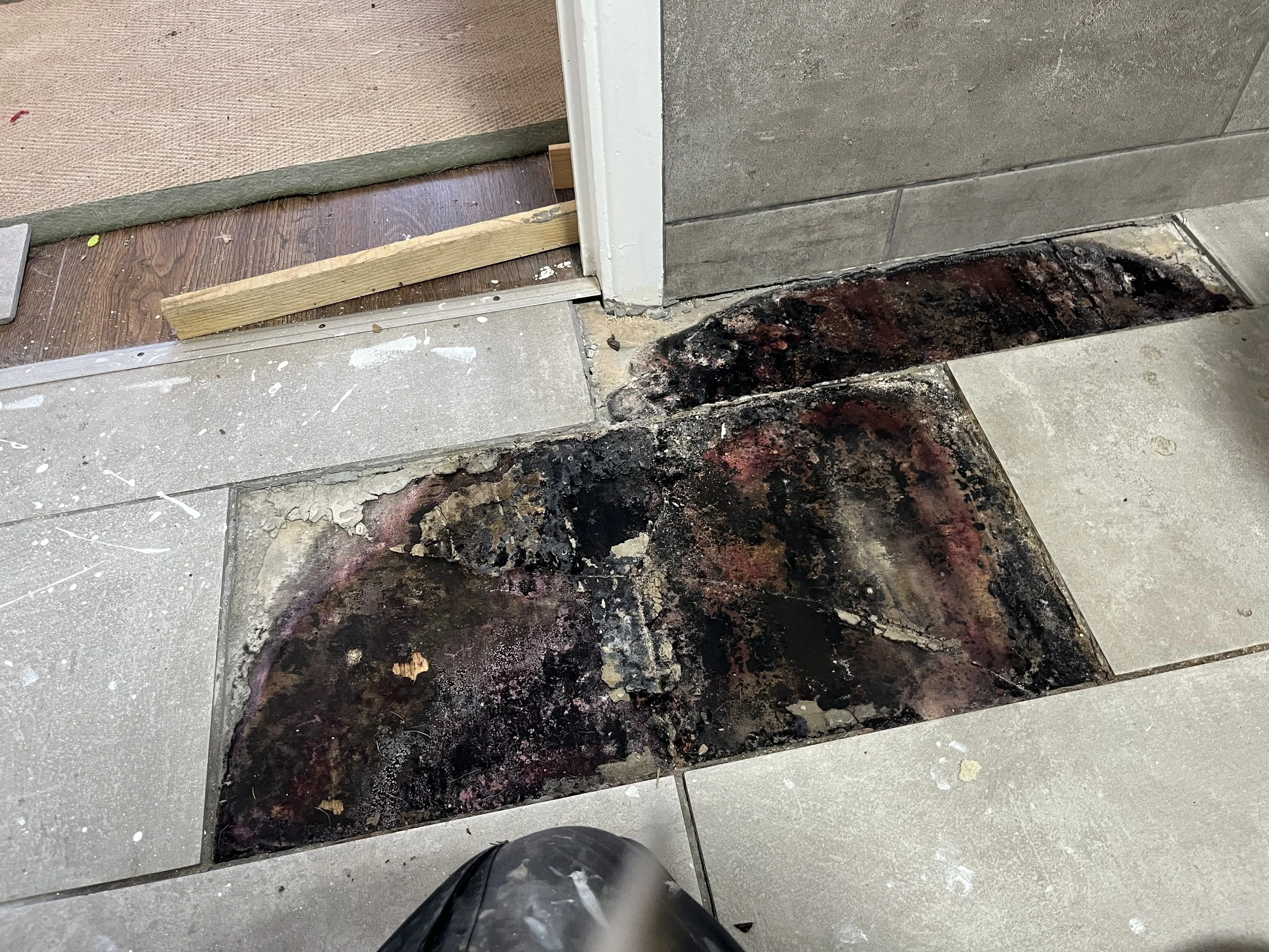 Photo Feb 16 2026, 09 54 57.jpg