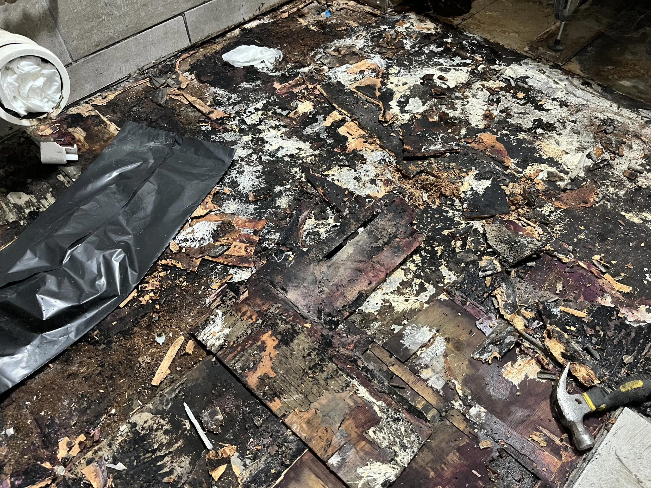 Photo Feb 16 2026, 11 02 32.jpg