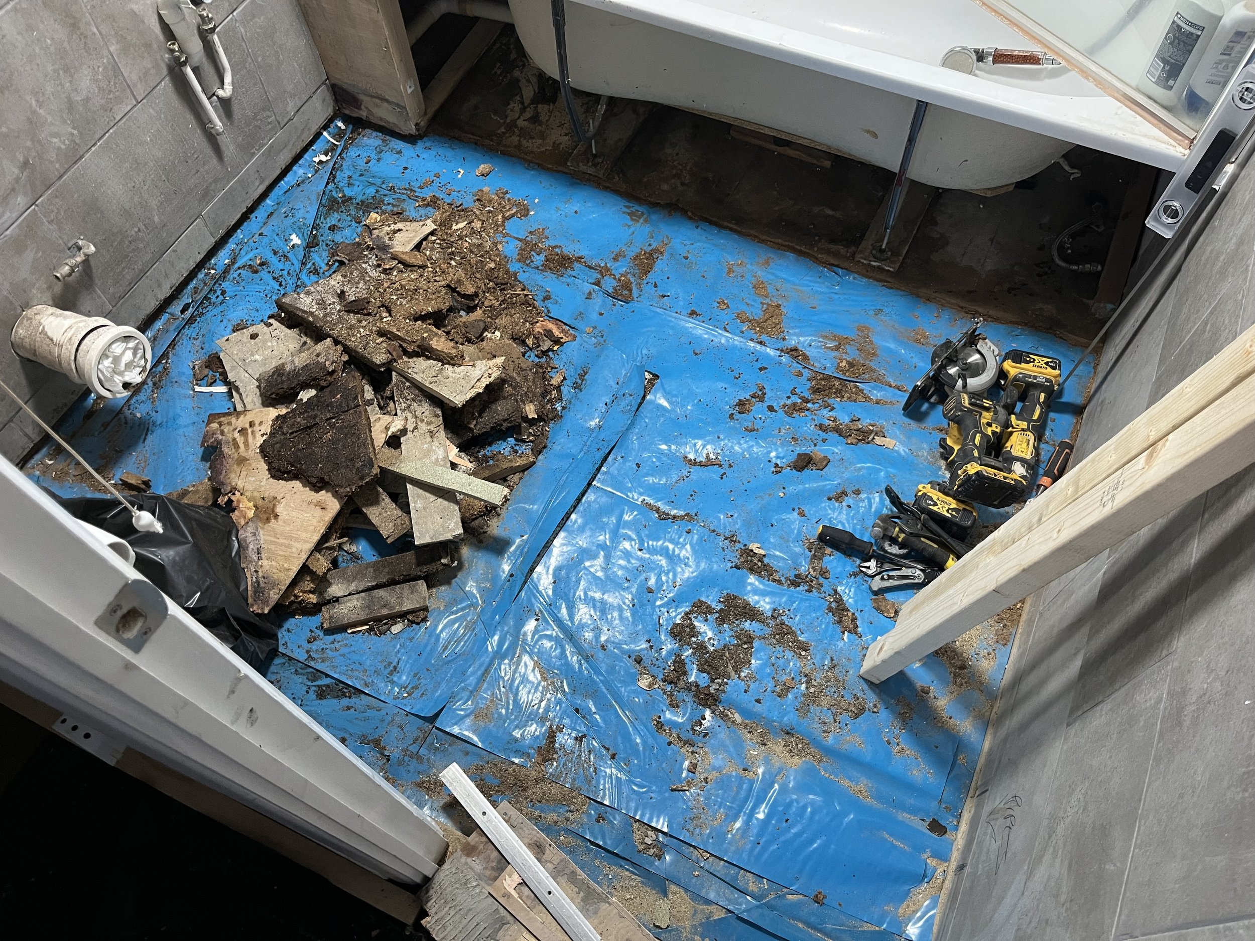 Photo Feb 16 2026, 16 53 15.jpg