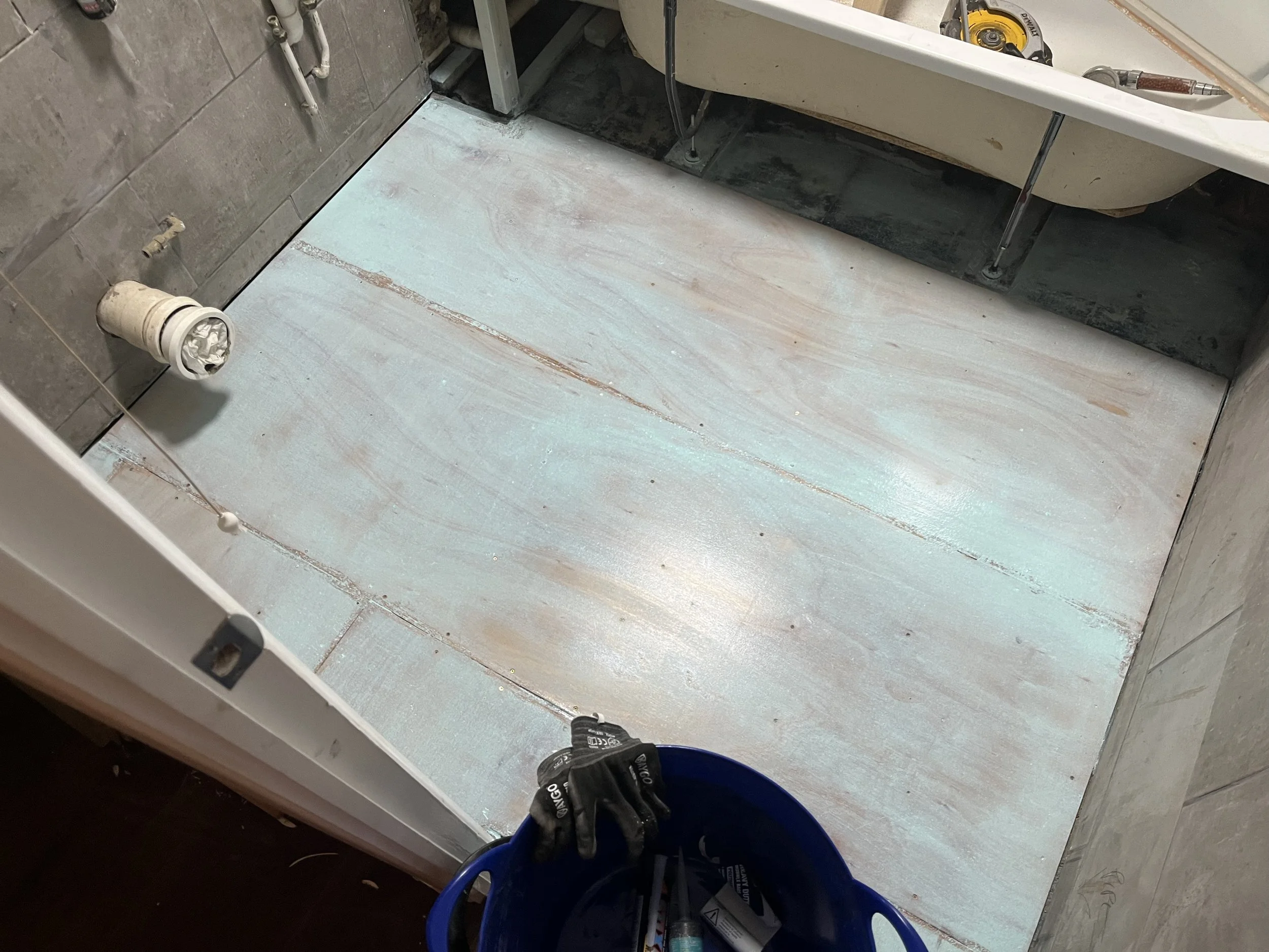 Photo Feb 17 2026, 17 46 21.jpg