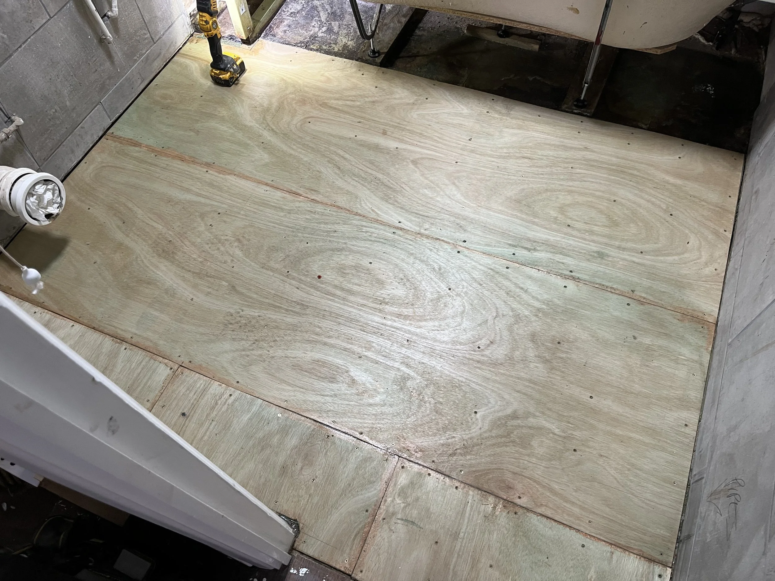 Photo Feb 18 2026, 11 37 20.jpg