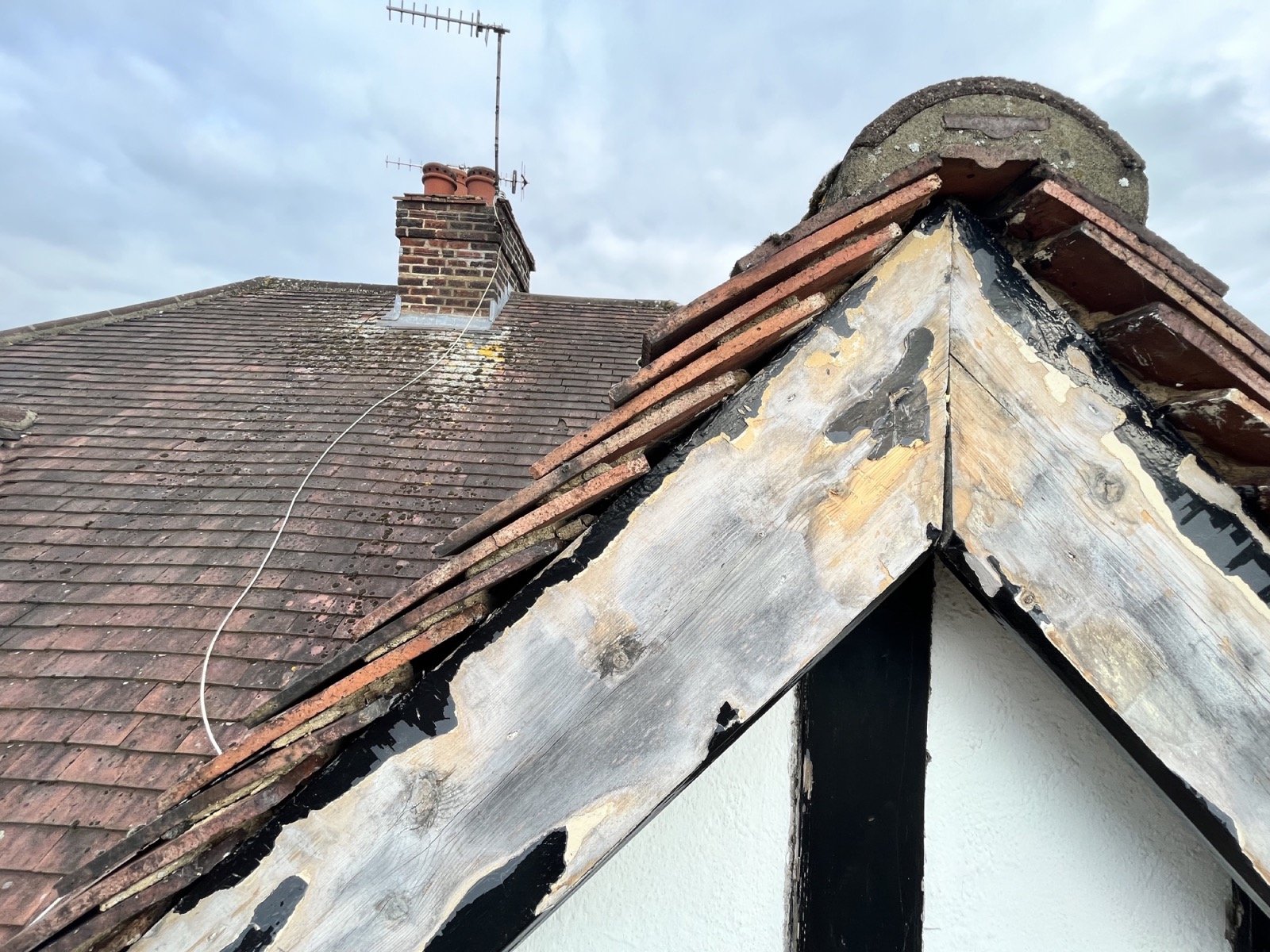 Photo 05-10-2023, 15 49 56.jpg