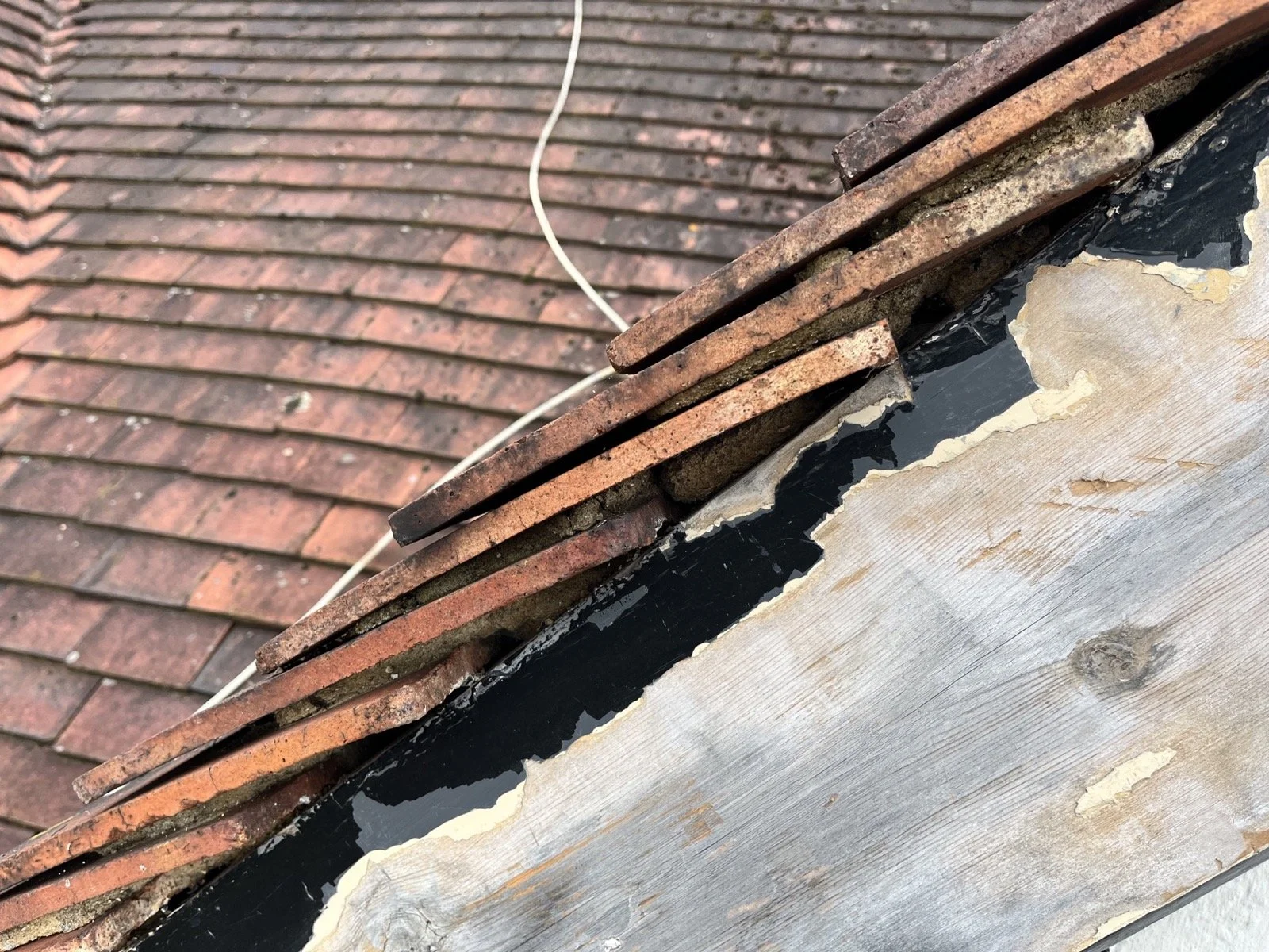 Photo 05-10-2023, 15 50 36.jpg