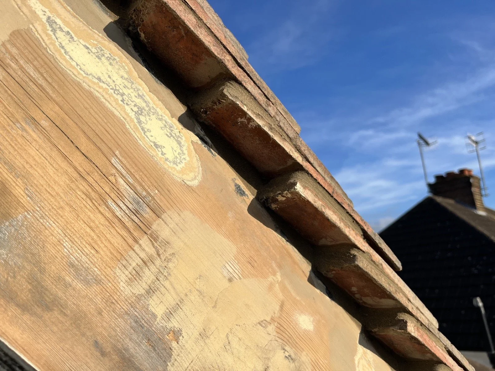 Photo 06-10-2023, 16 52 27.jpg