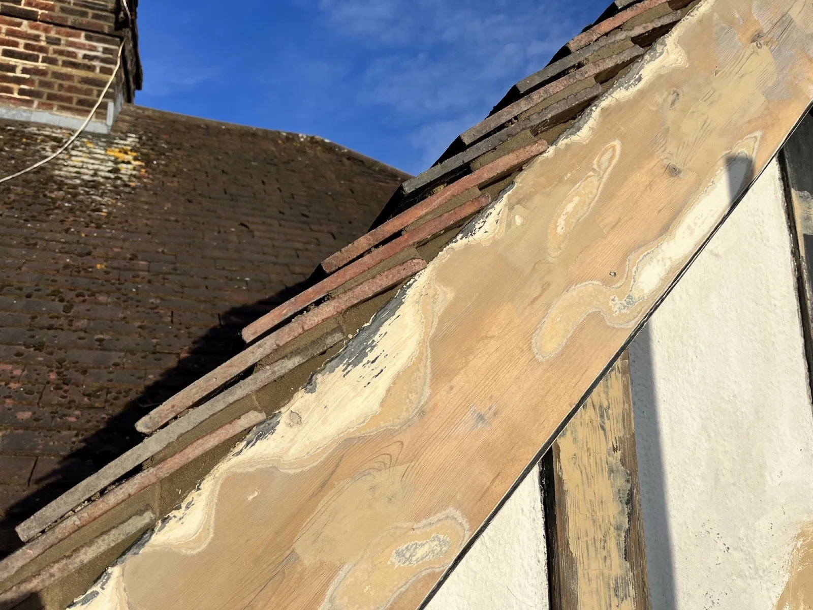 Photo 06-10-2023, 16 52 18.jpg