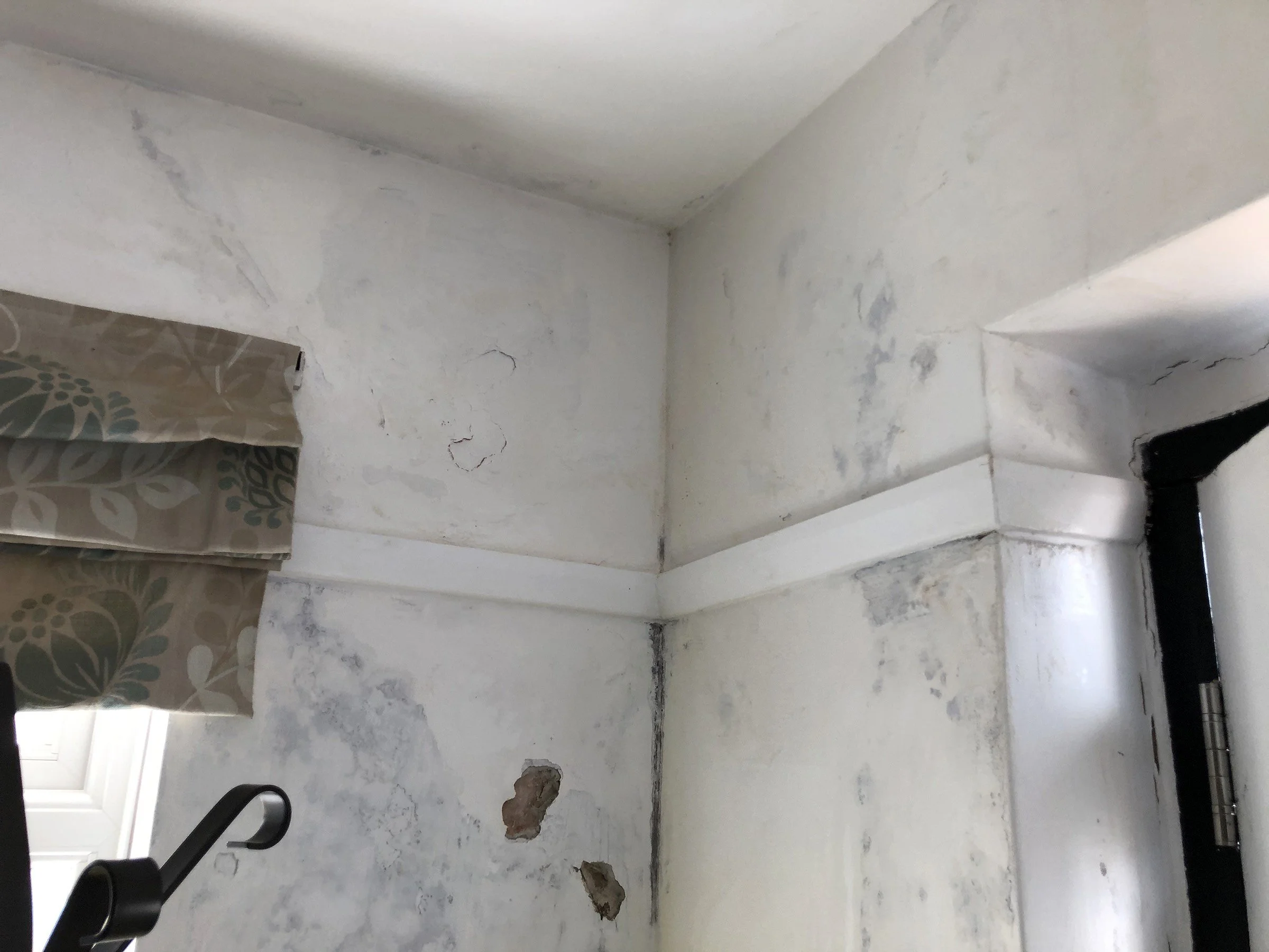 Photo 02-06-2021, 11 52 34.jpg