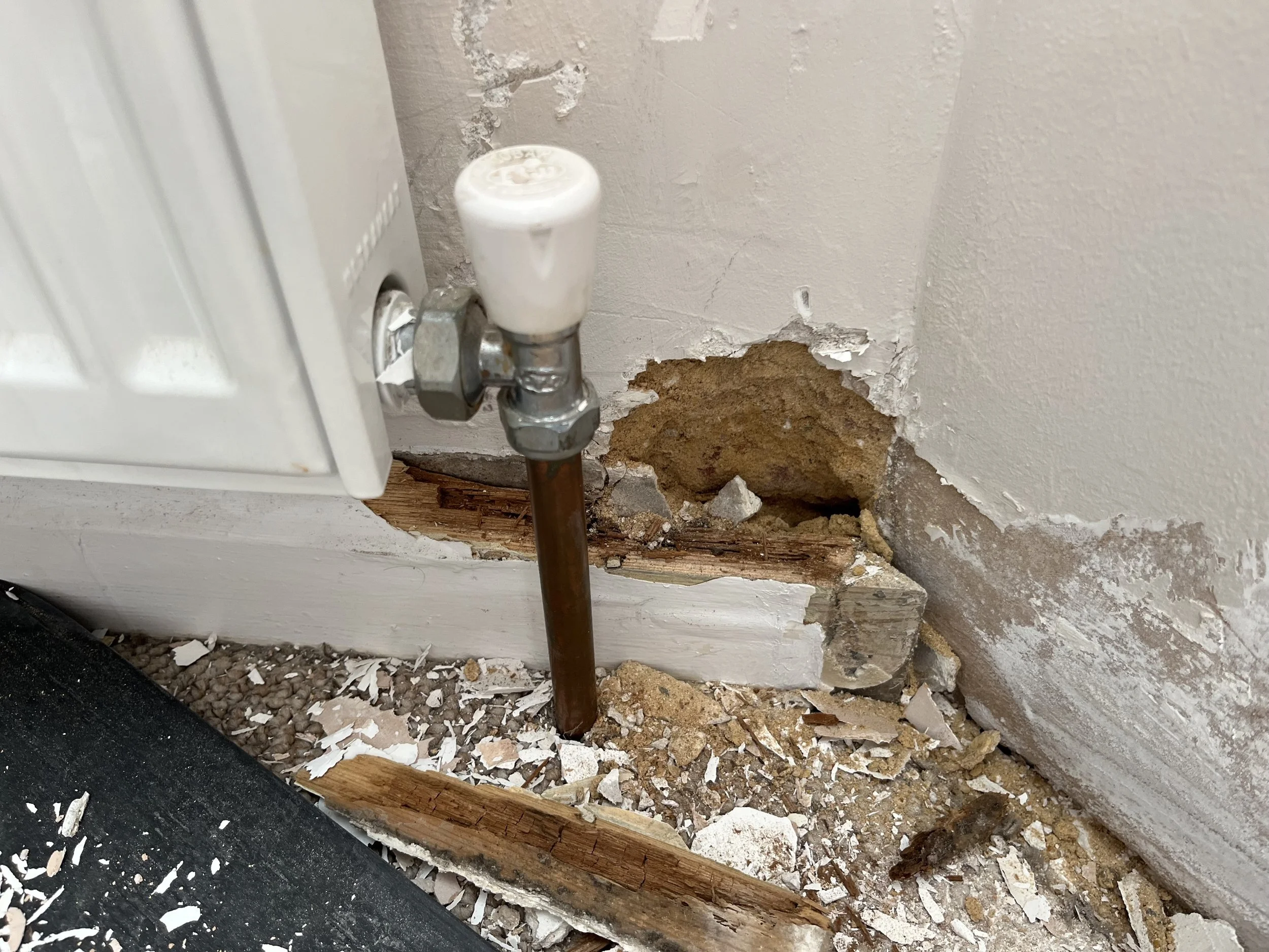 Photo Apr 16 2025, 16 18 06.jpg