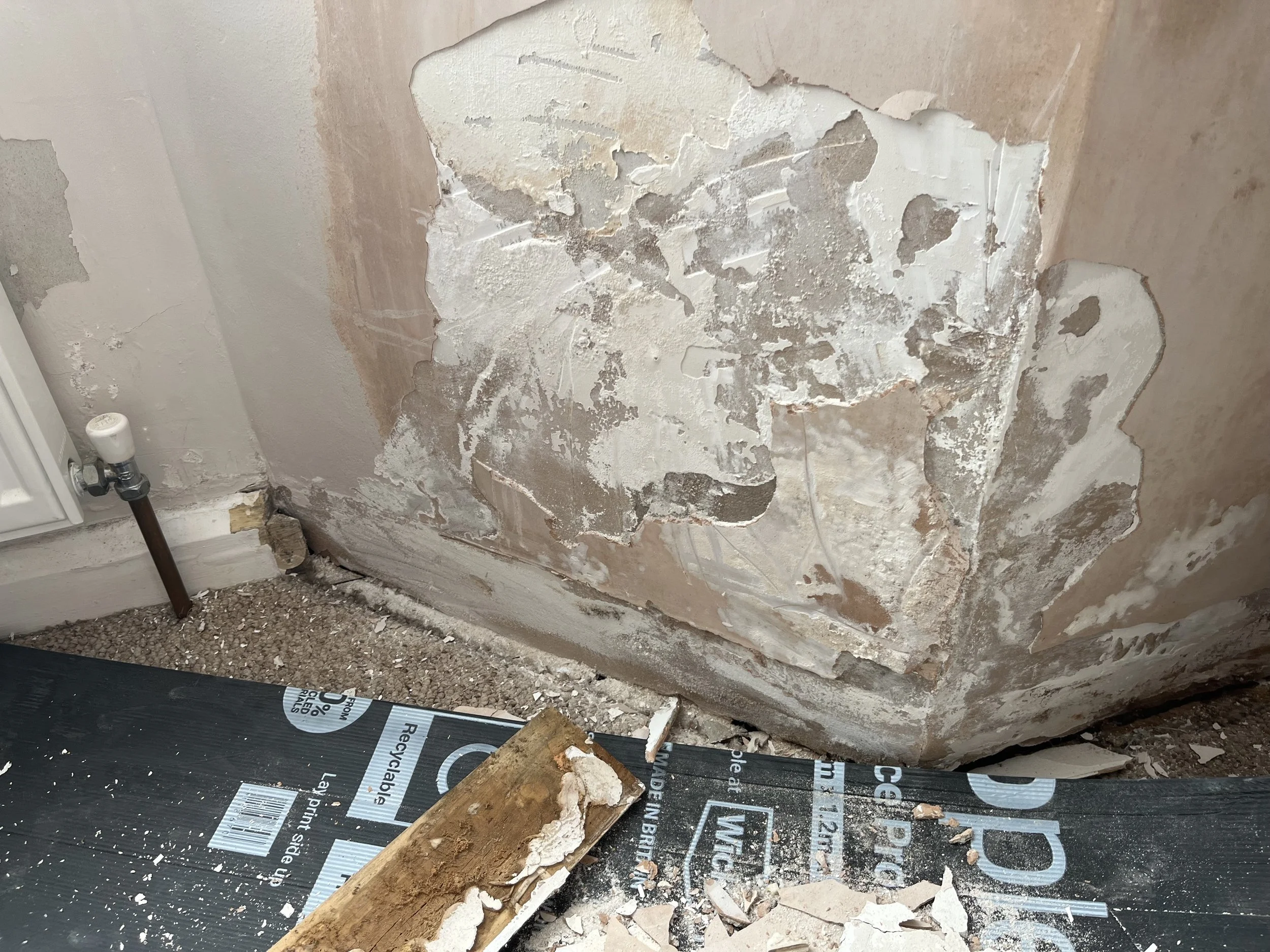 Photo Apr 16 2025, 16 09 39.jpg