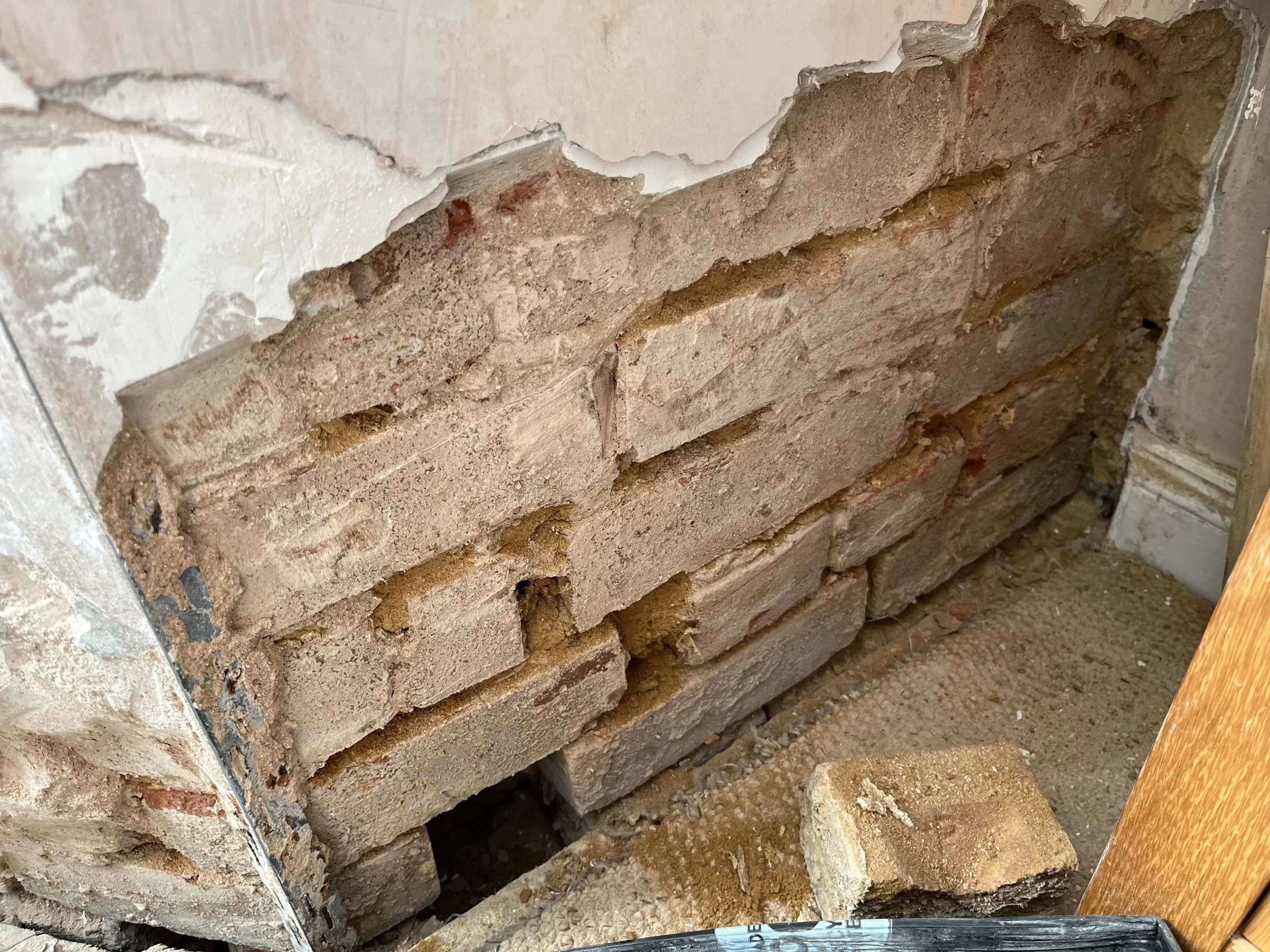 Photo Apr 16 2025, 16 49 41.jpg